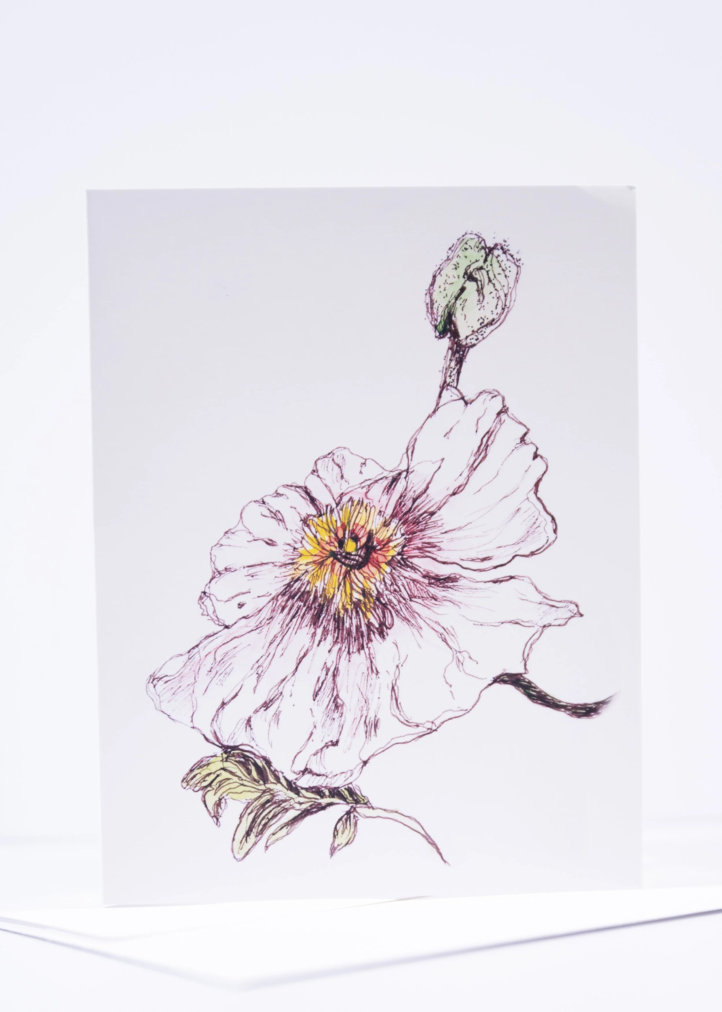 GREETING CARD / Pen & Ink Hibiscus and Bud