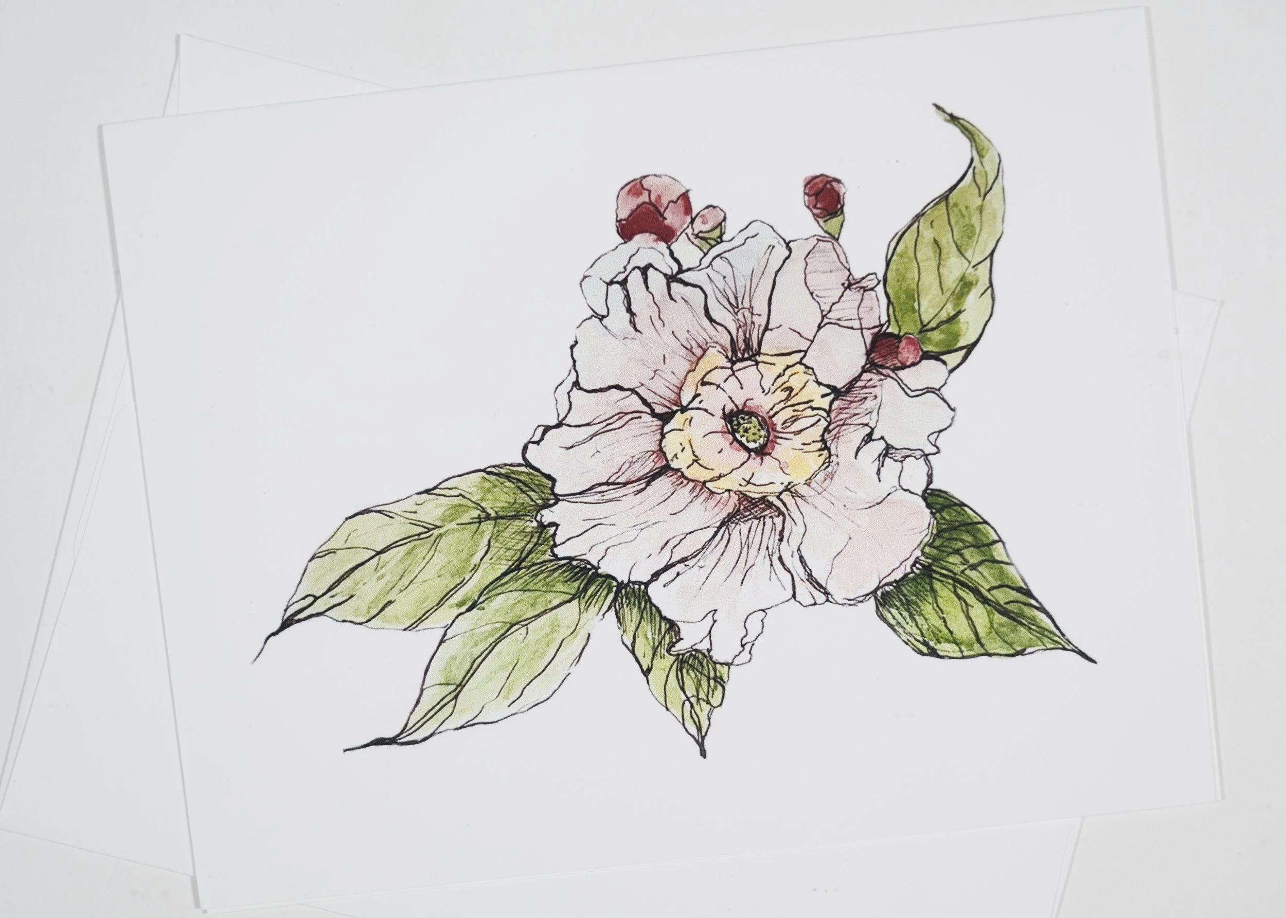GREETING CARD / Pen & Ink Flower, Leaves & Buds