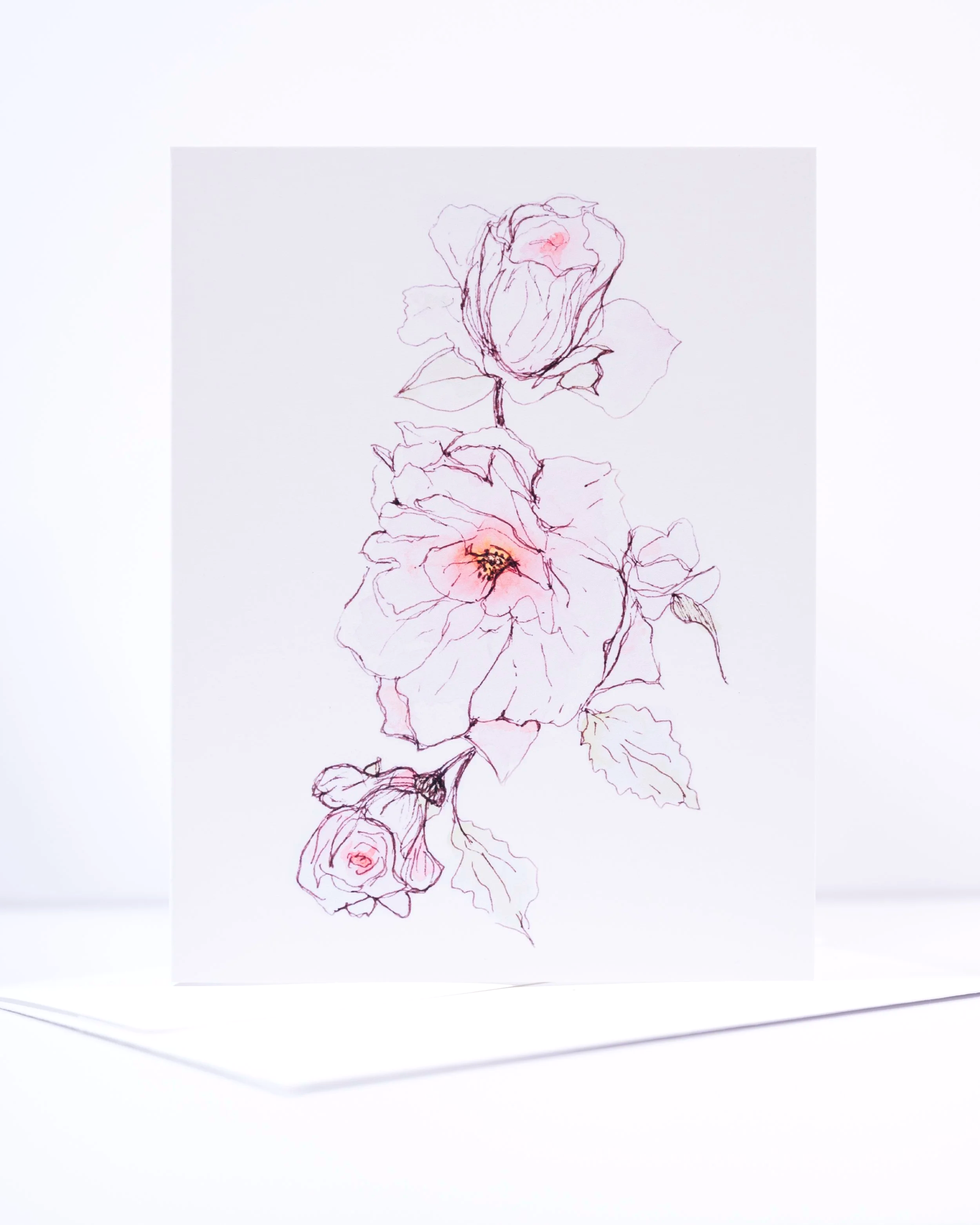 NEW+COPY+STAND+IMAGES+++0044+.png