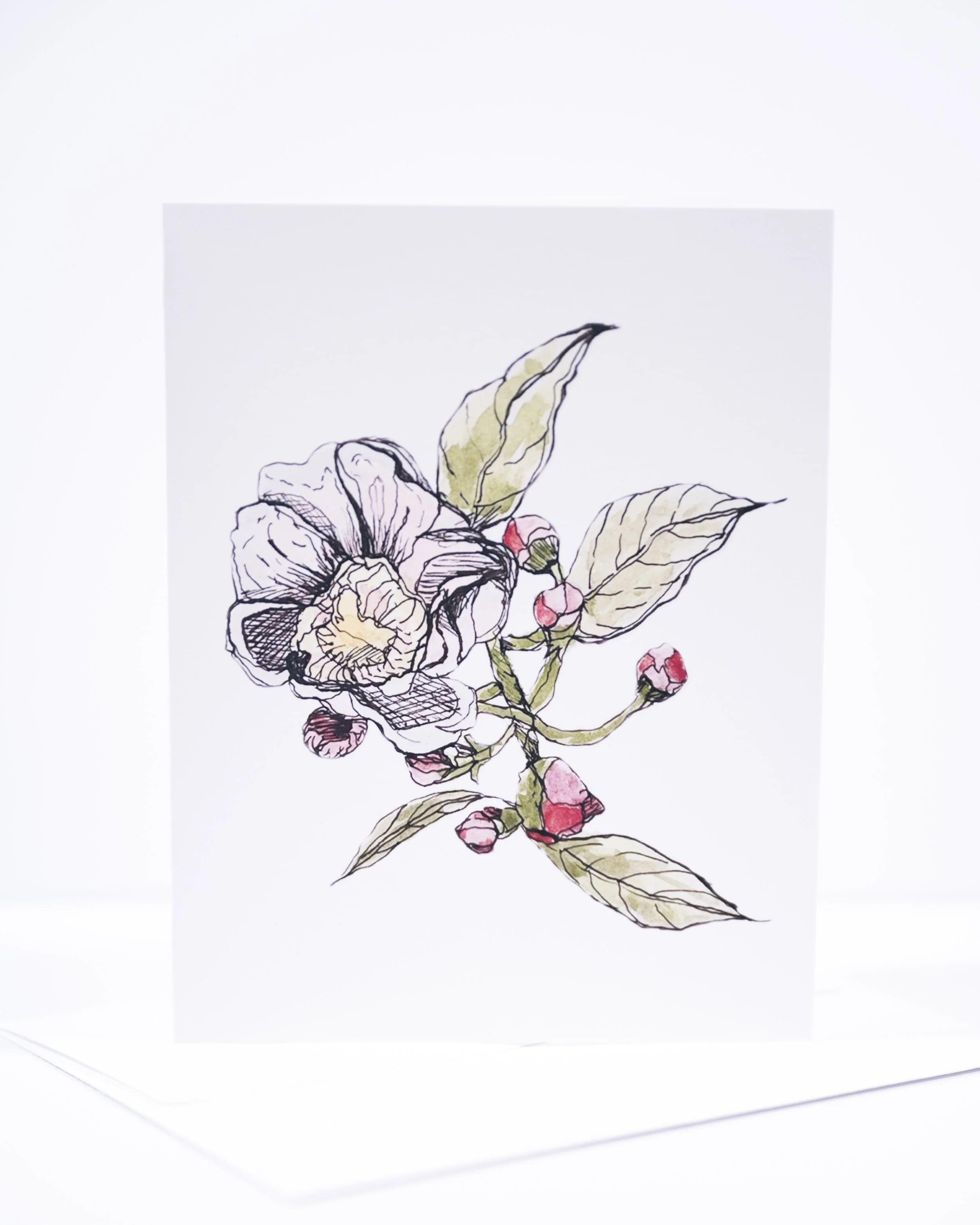 NEW COPY STAND IMAGES   0047 .JPG
