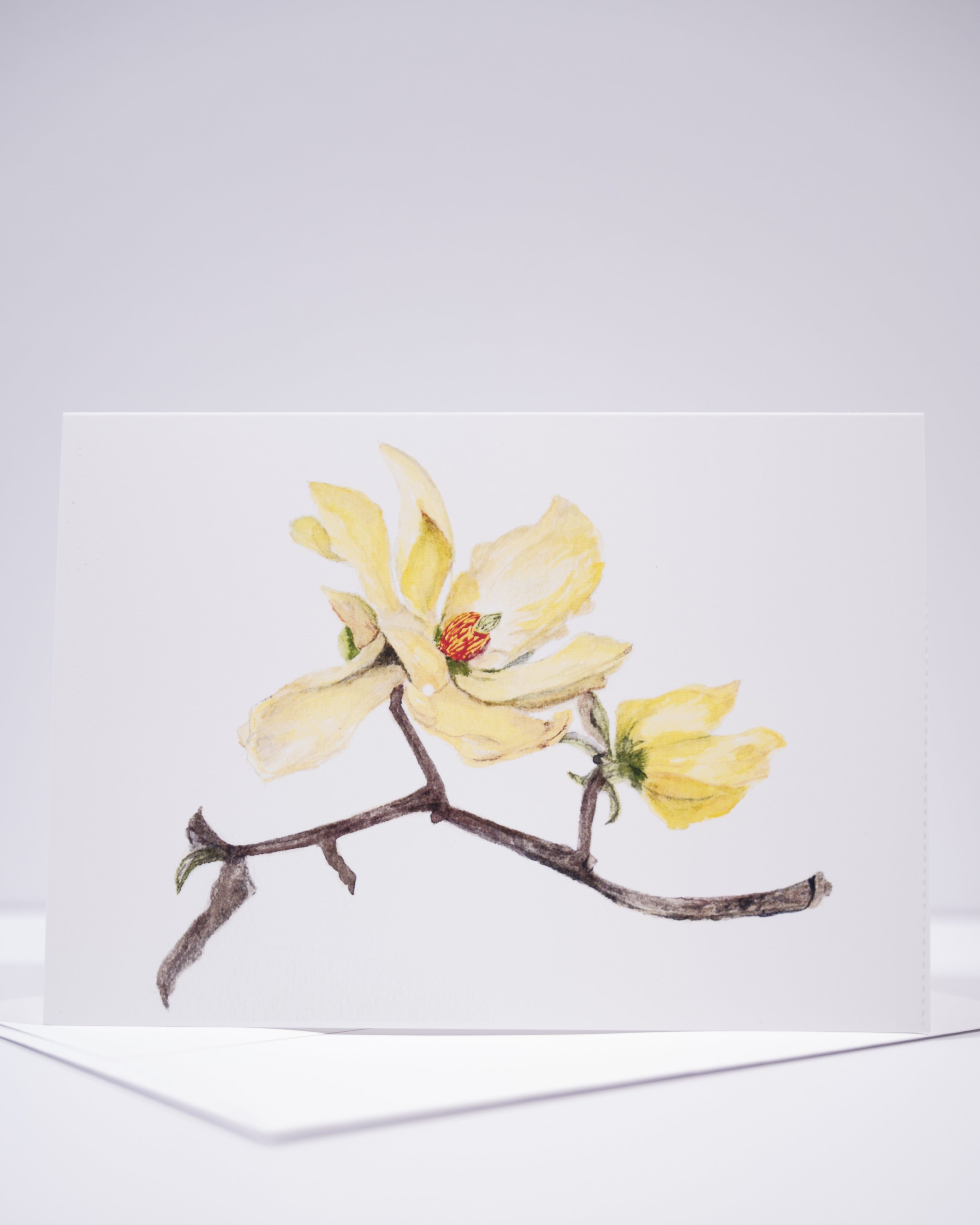 NEW COPY STAND IMAGES   0249 .JPG