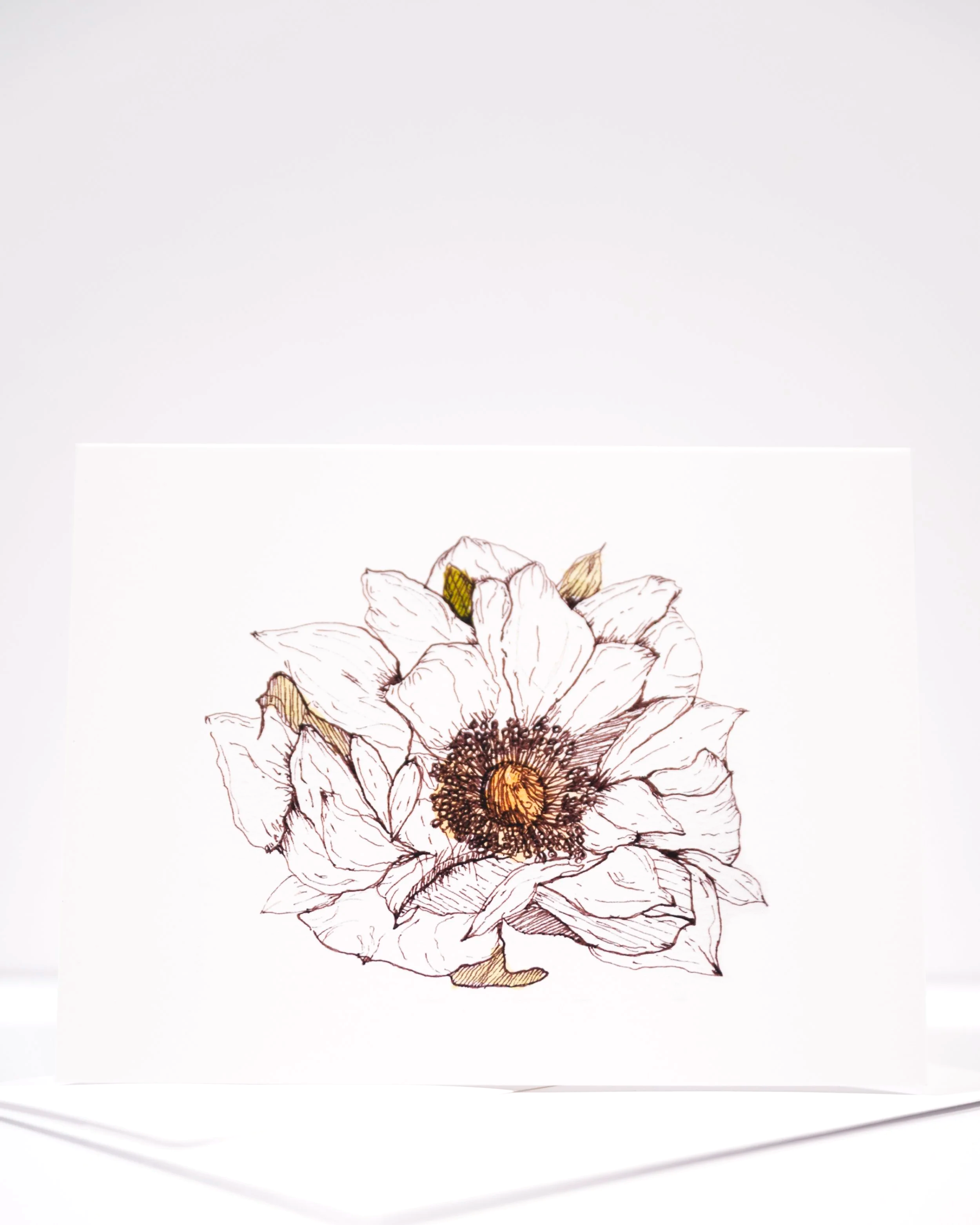 NEW+COPY+STAND+IMAGES+++0147+.png