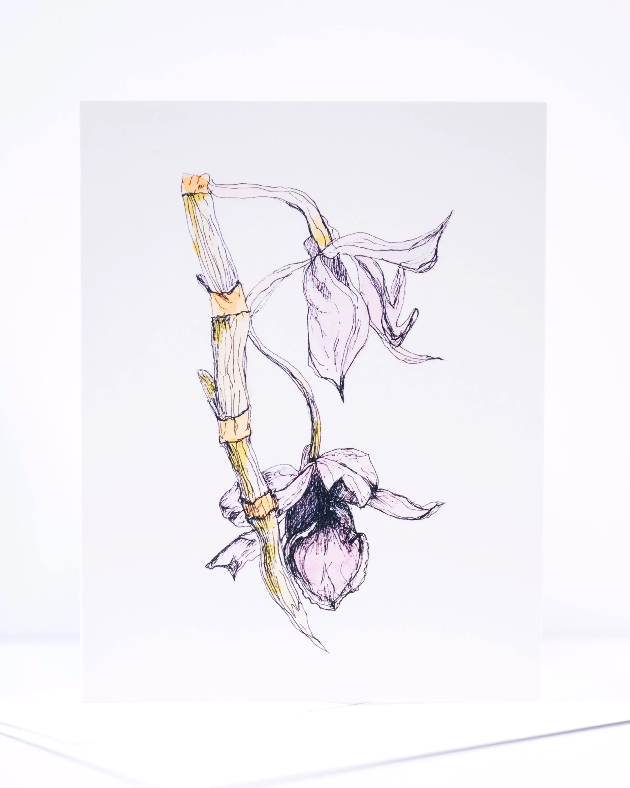 NEW+COPY+STAND+IMAGES+++0109+.png