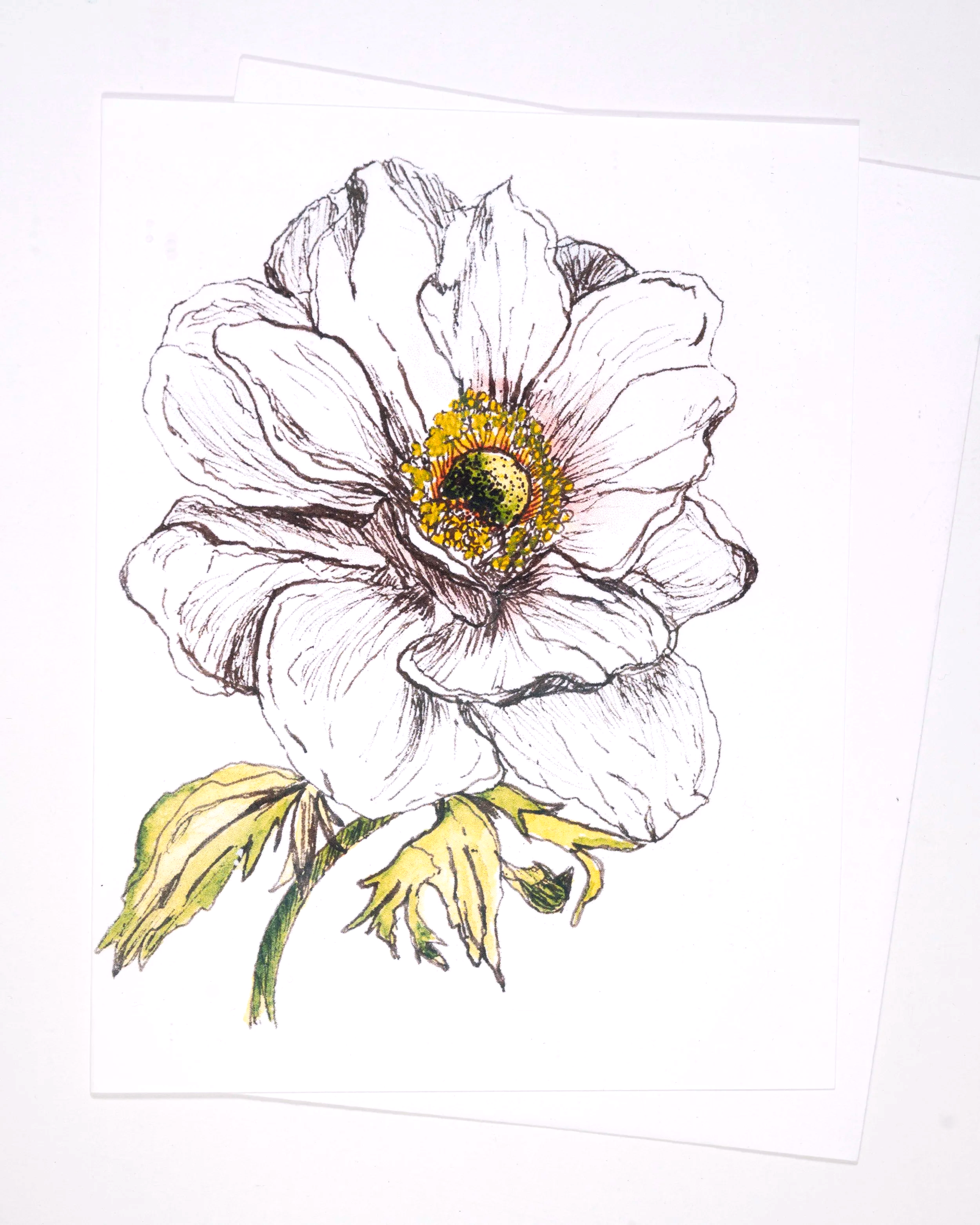 4x5+GREETING+-0047.png (Copy)