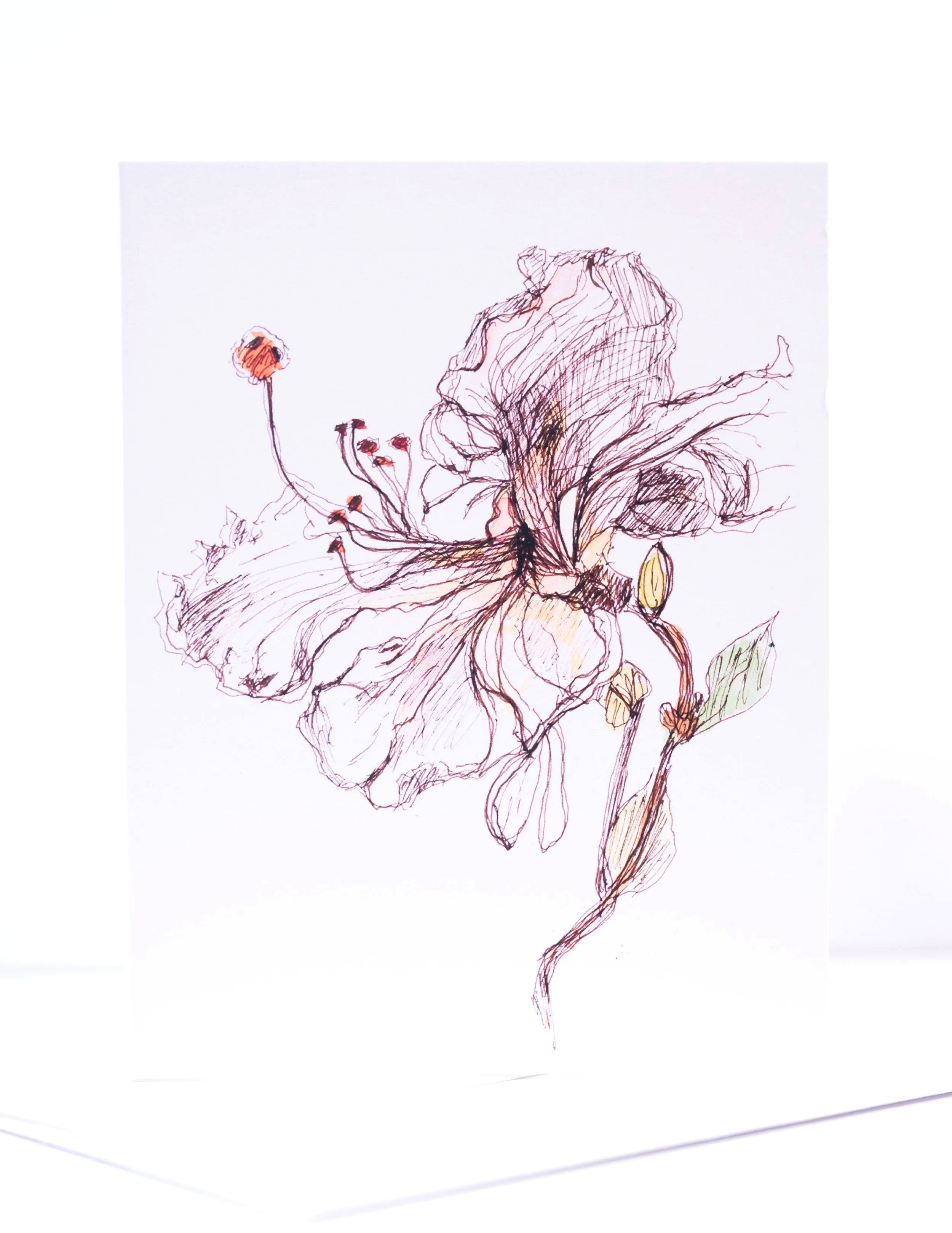 NEW+COPY+STAND+IMAGES+++0060+.png (Copy)