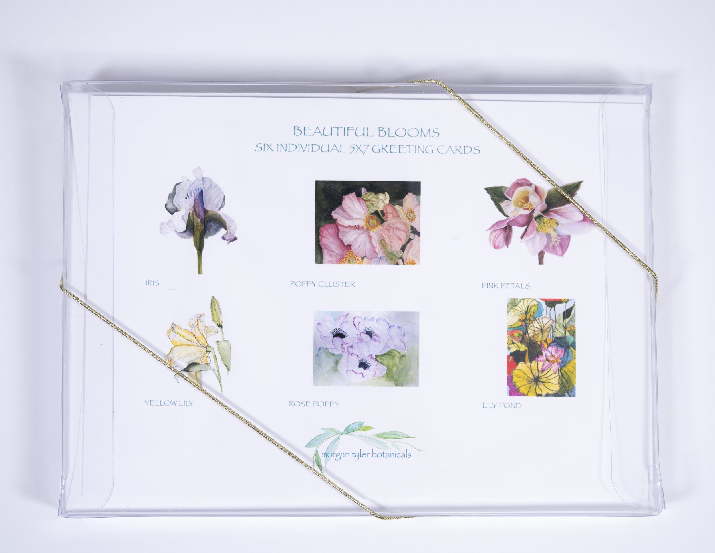 150 DPI GIFT BOX.jpg (Copy)