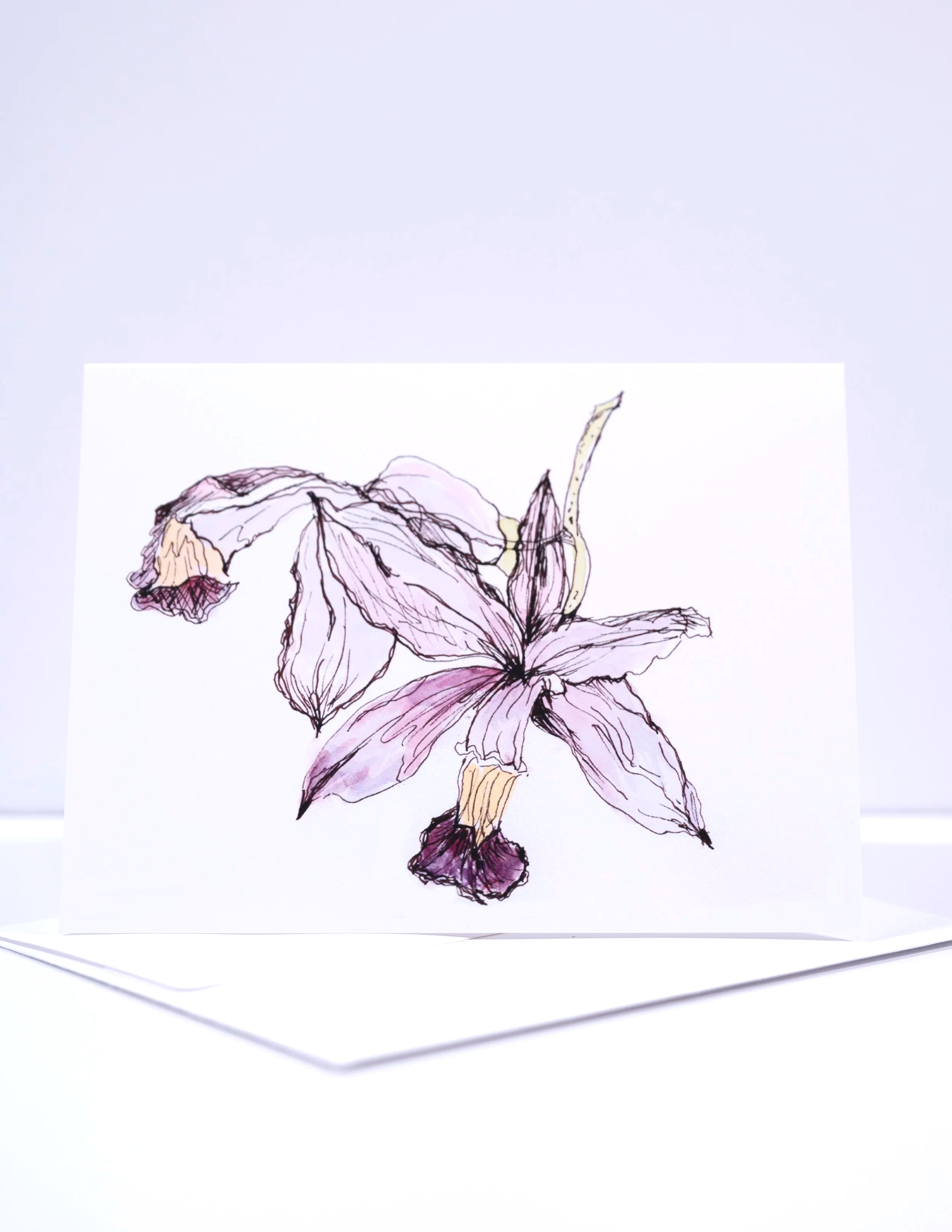 NEW+COPY+STAND+IMAGES+++0040+.png (Copy)