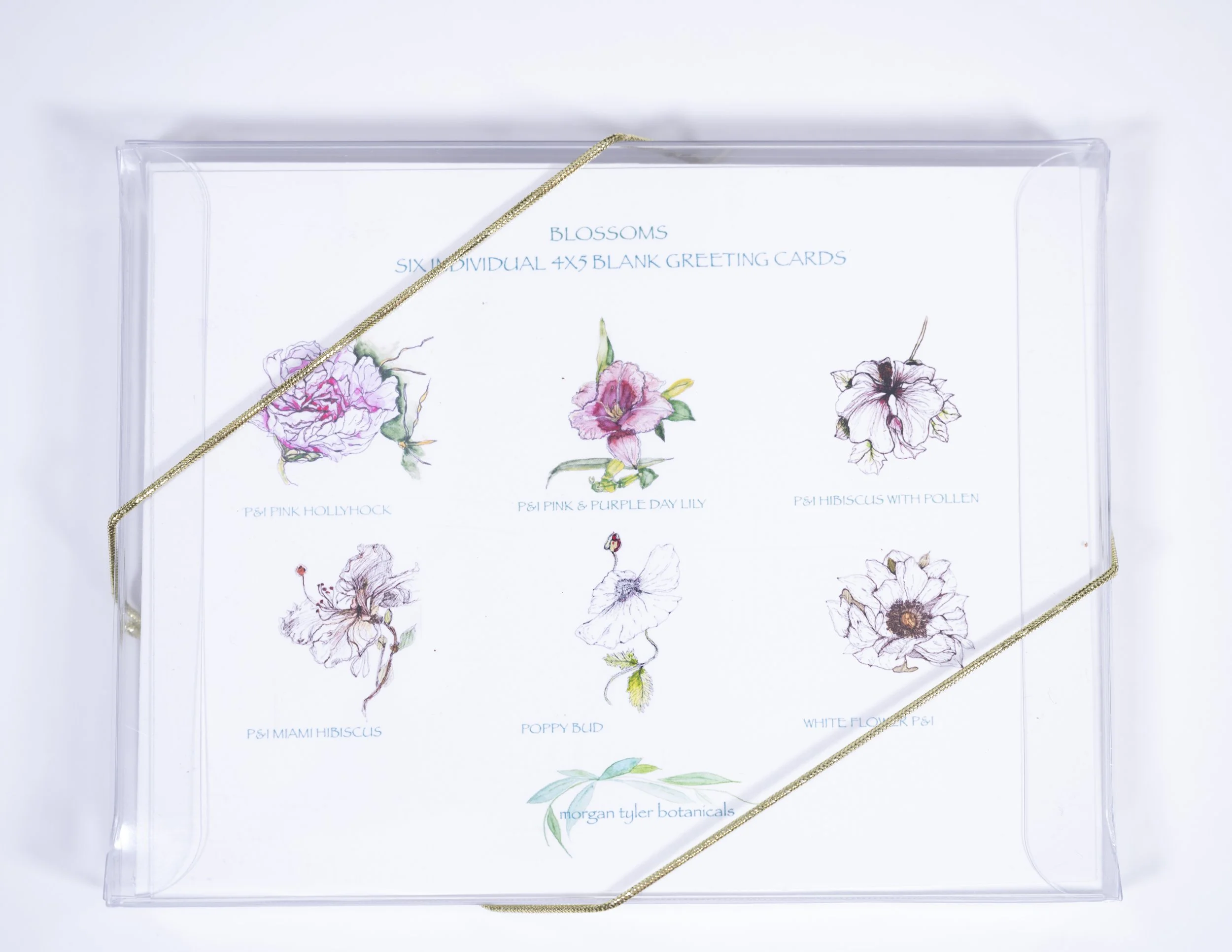 150 dpi boxed set contact sheet.jpg