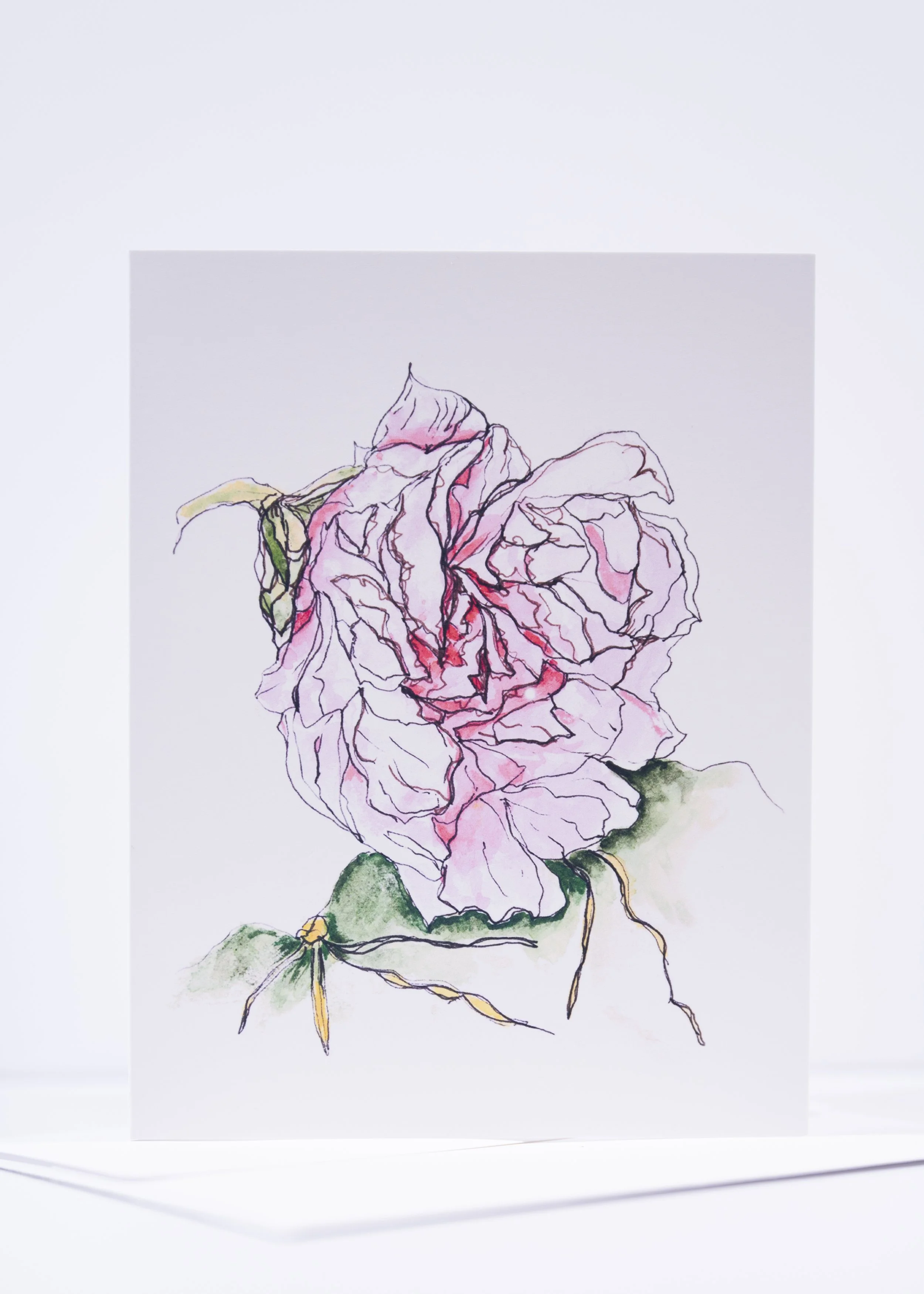 P&I PINK HOLLYHOCK / 4X5 Greeting Card