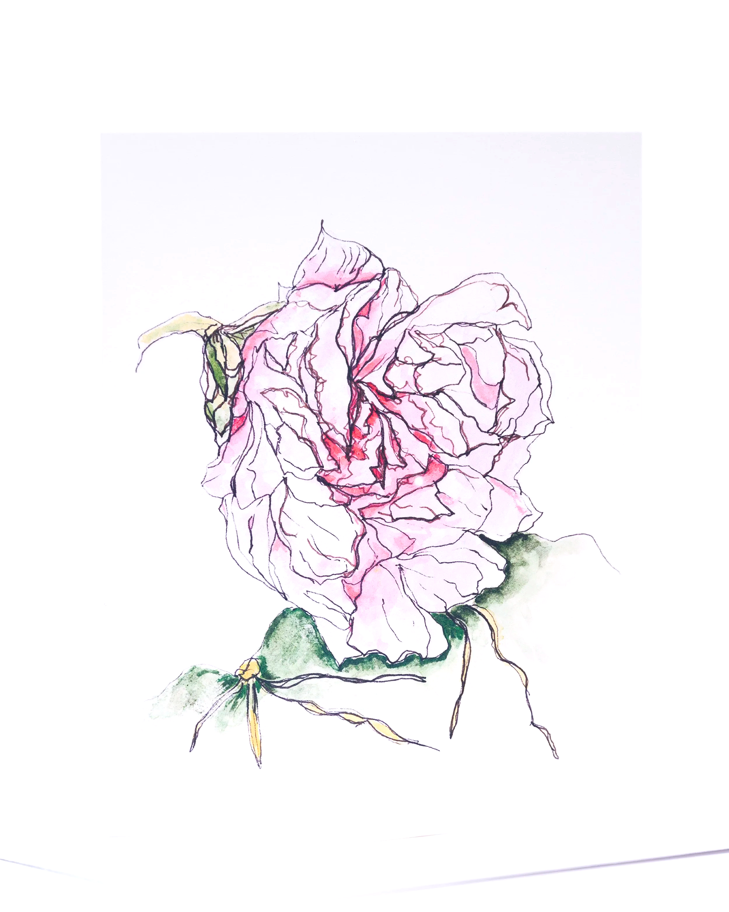 150+DPI+PEN+%26+INK+++++0088+.png