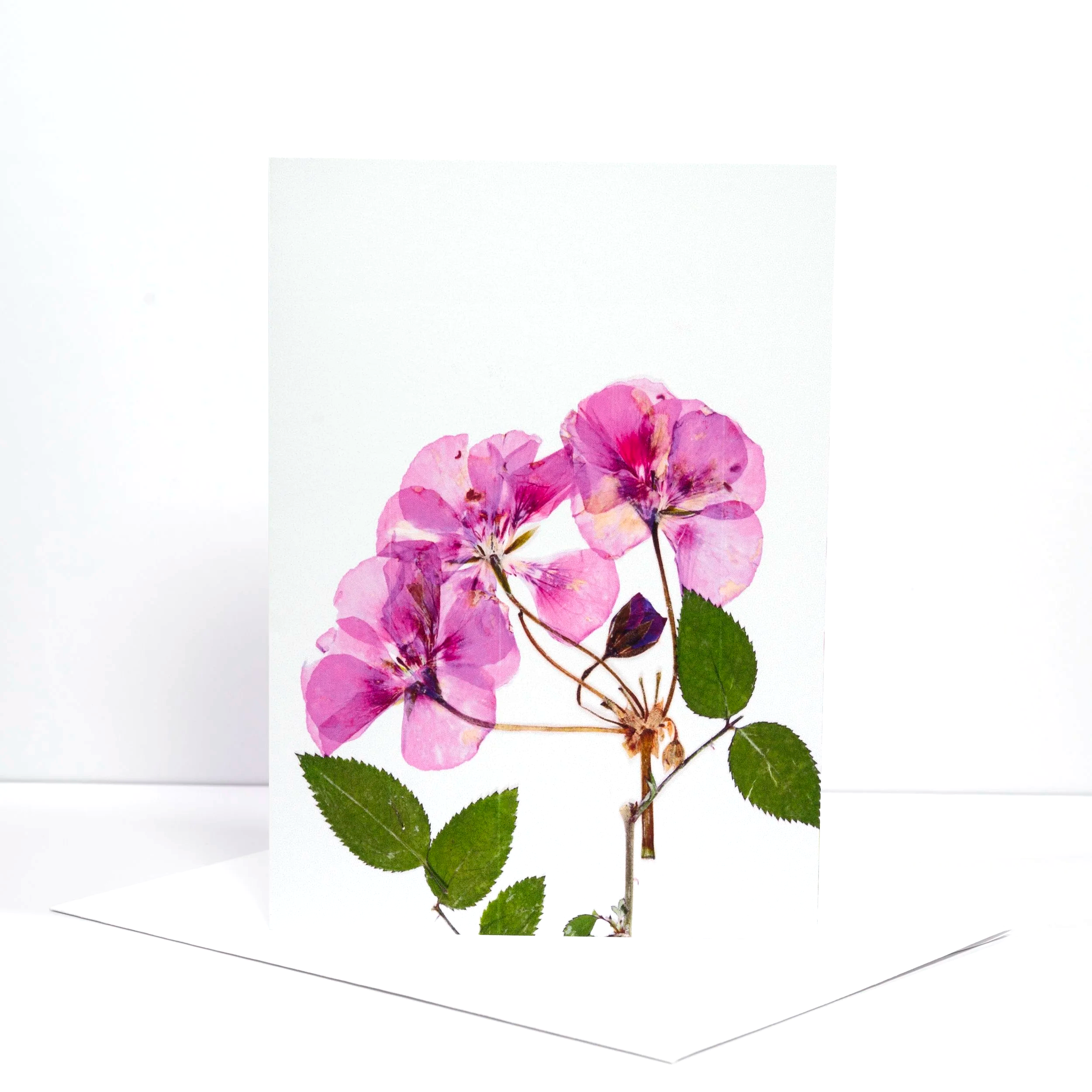 PRESSED+PINK+GERANIUM.png (Copy)