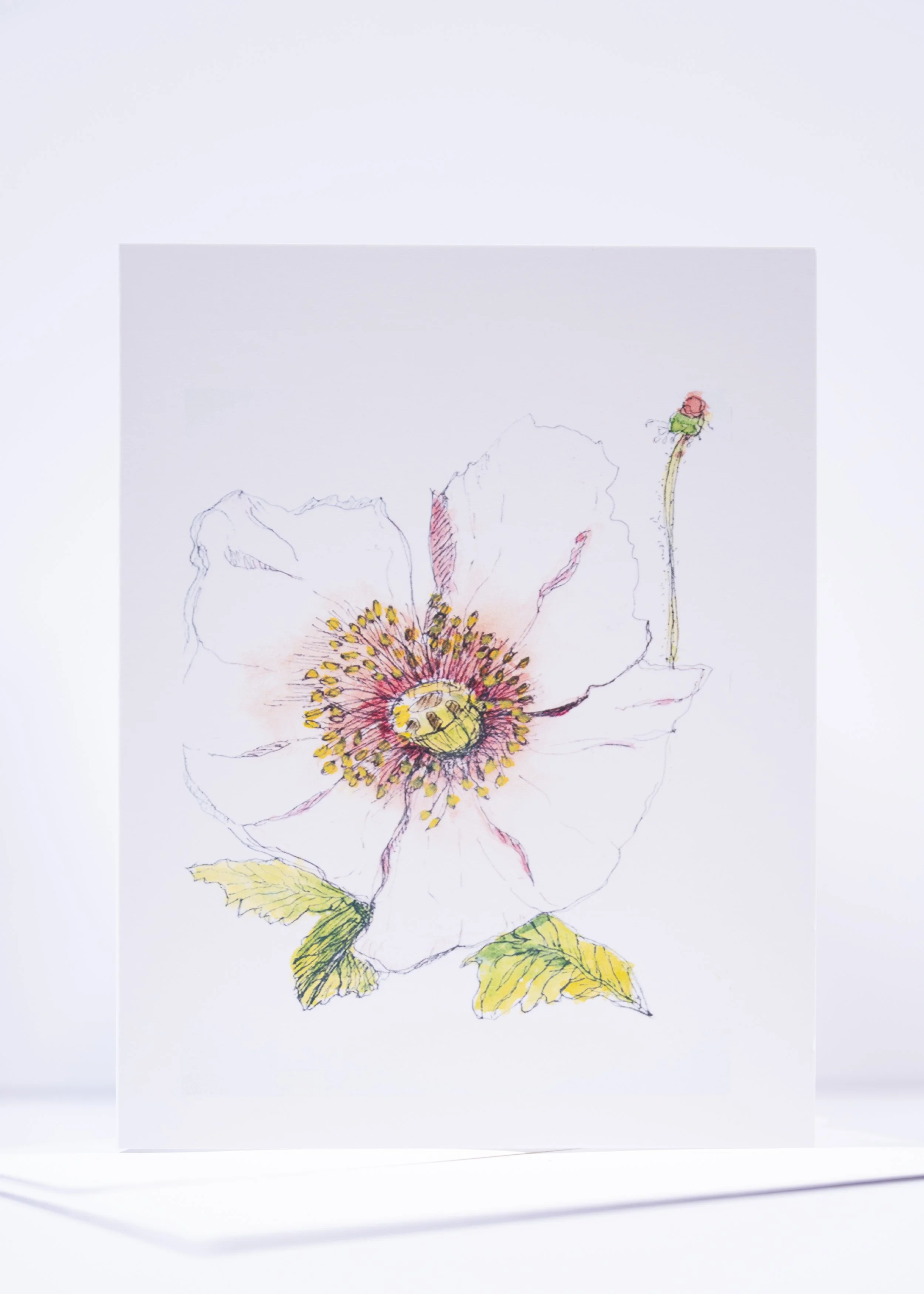 GREETING CARD / Pen & Ink Pink Poppy