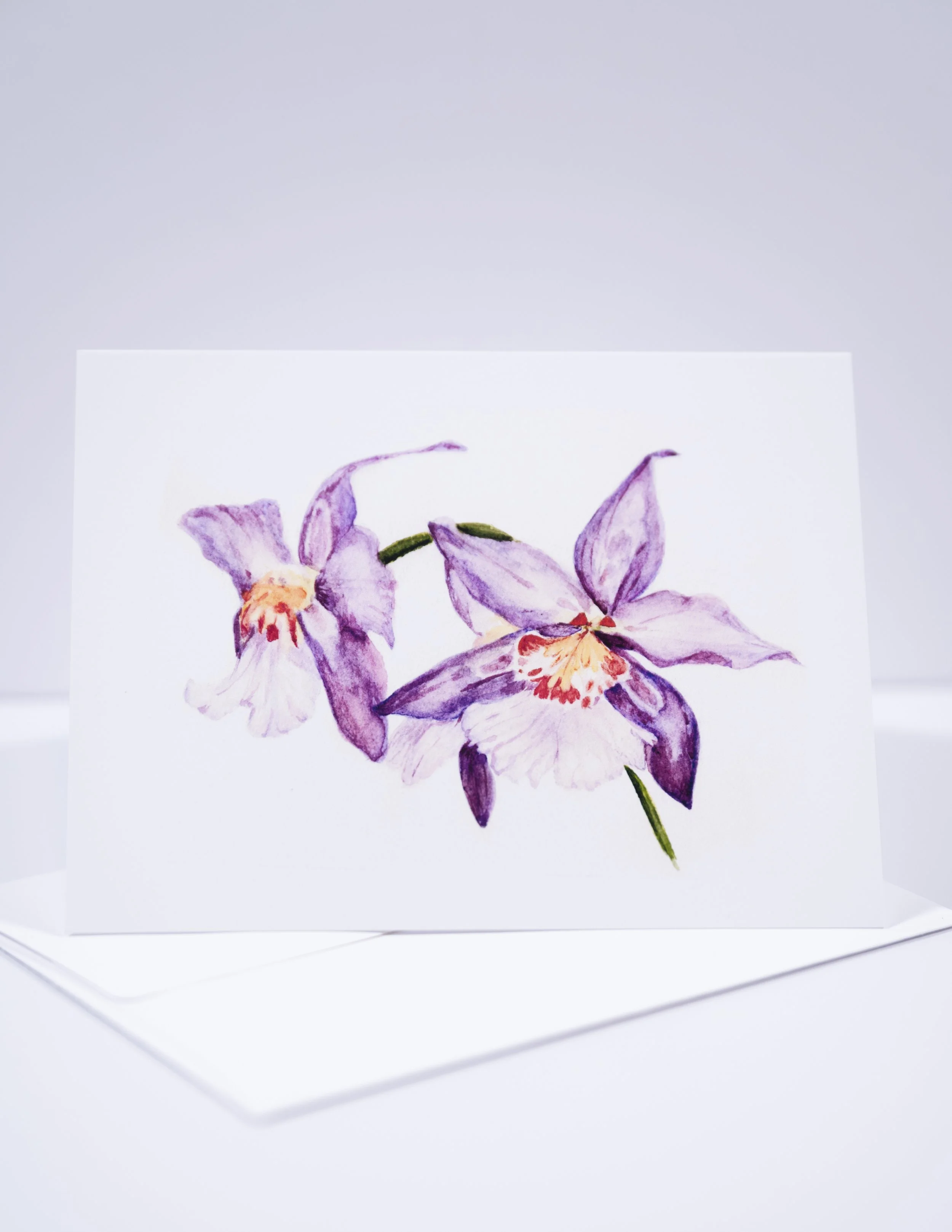 NEW COPY STAND IMAGES   0025 .JPG