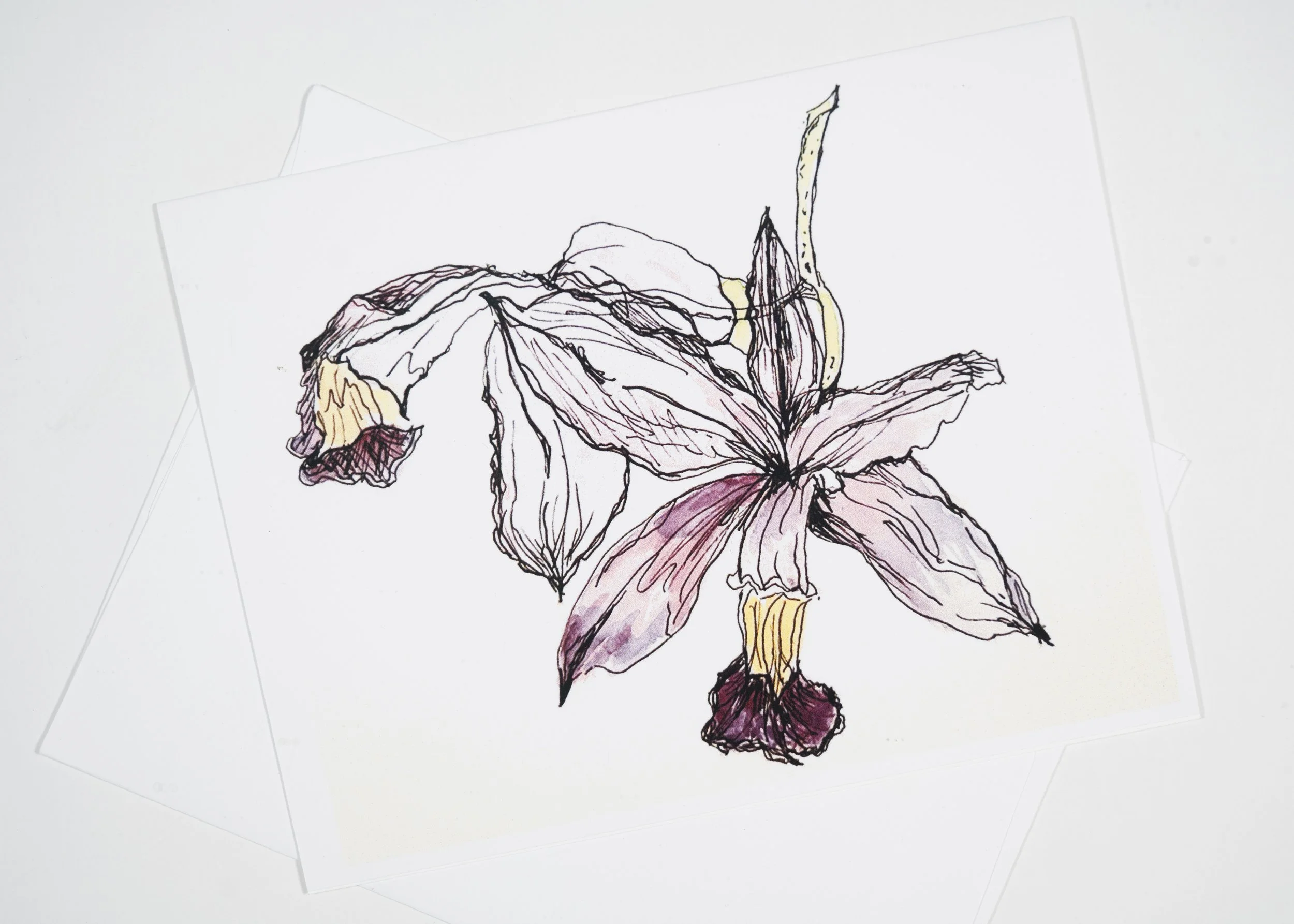 GREETING CARD / Pen & Ink LAVENDAR FLOWER #2