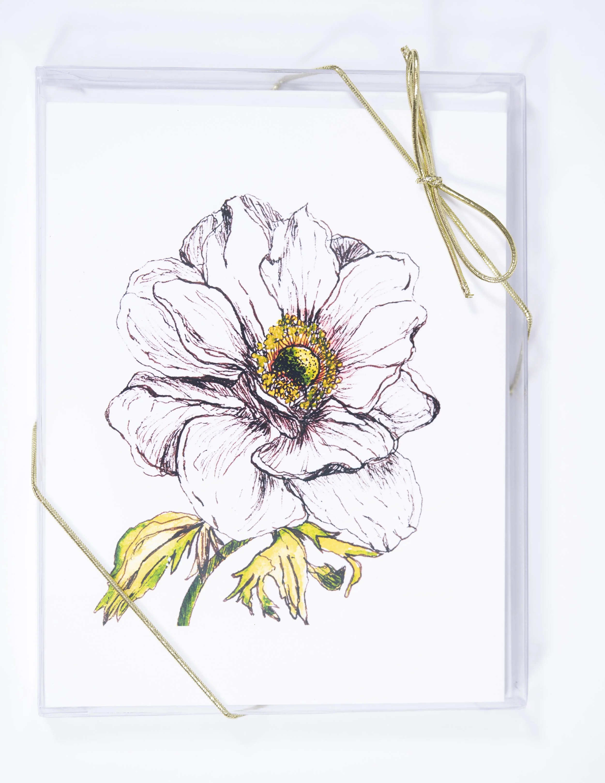 GARDEN DELIGHTS / Floral Elegance Watercolor Greeting Card Set