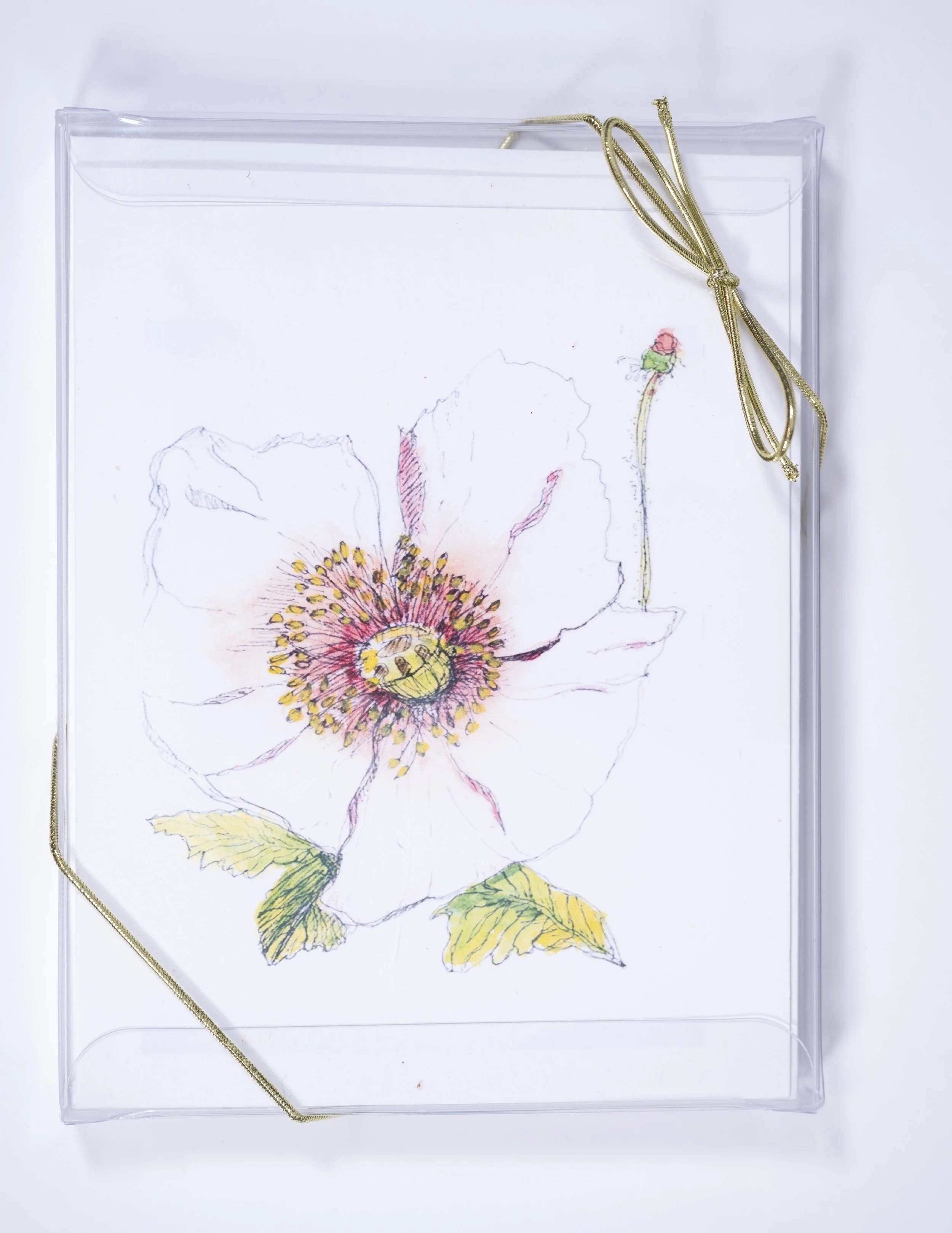 150 DPI P&I BLOSSOMS BOX FRONT .jpg