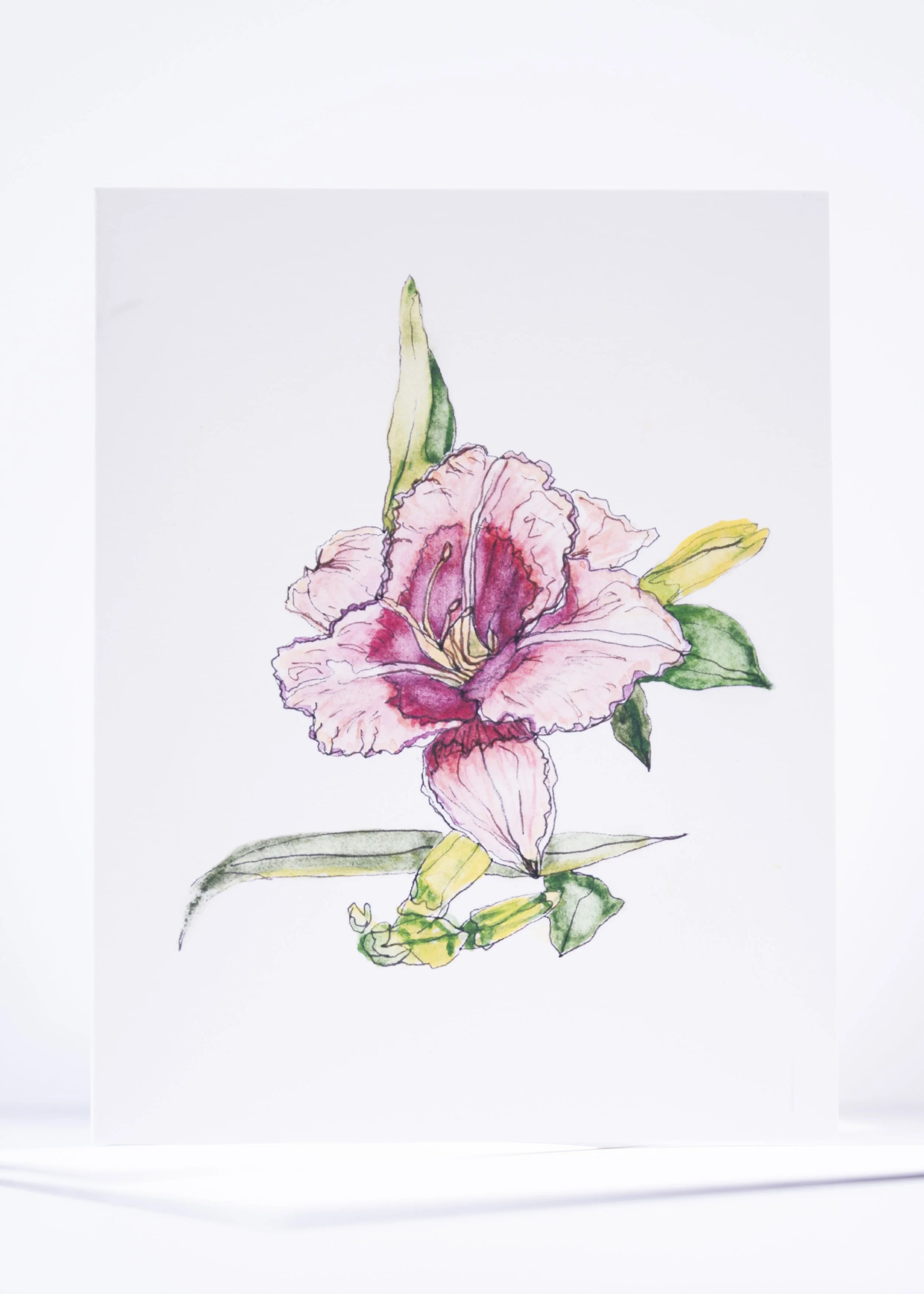 GREETING CARD / PEN U INK PINK & PURPLE DAY LILY