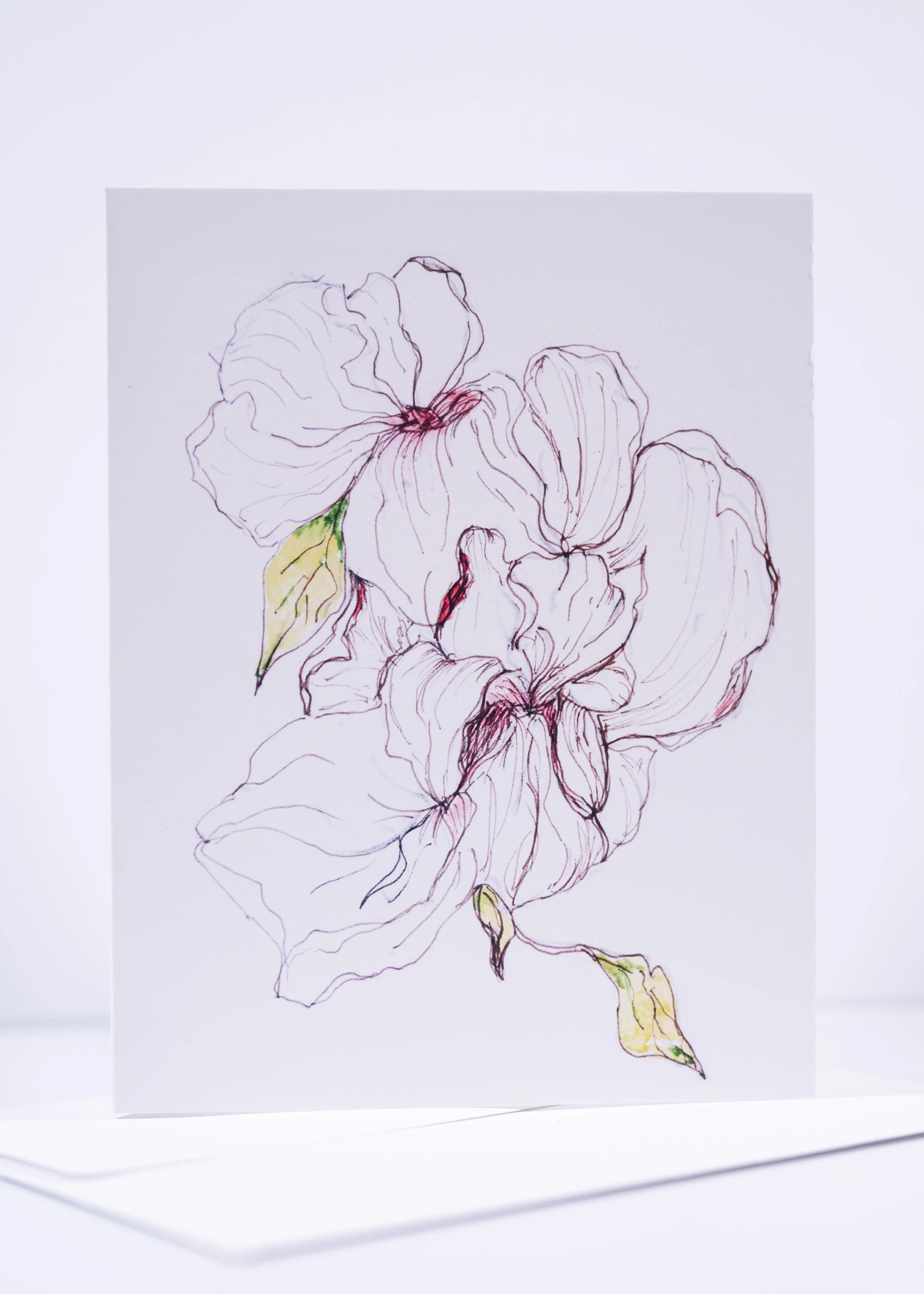 GREETING CARD / Pen & Ink Blossoms