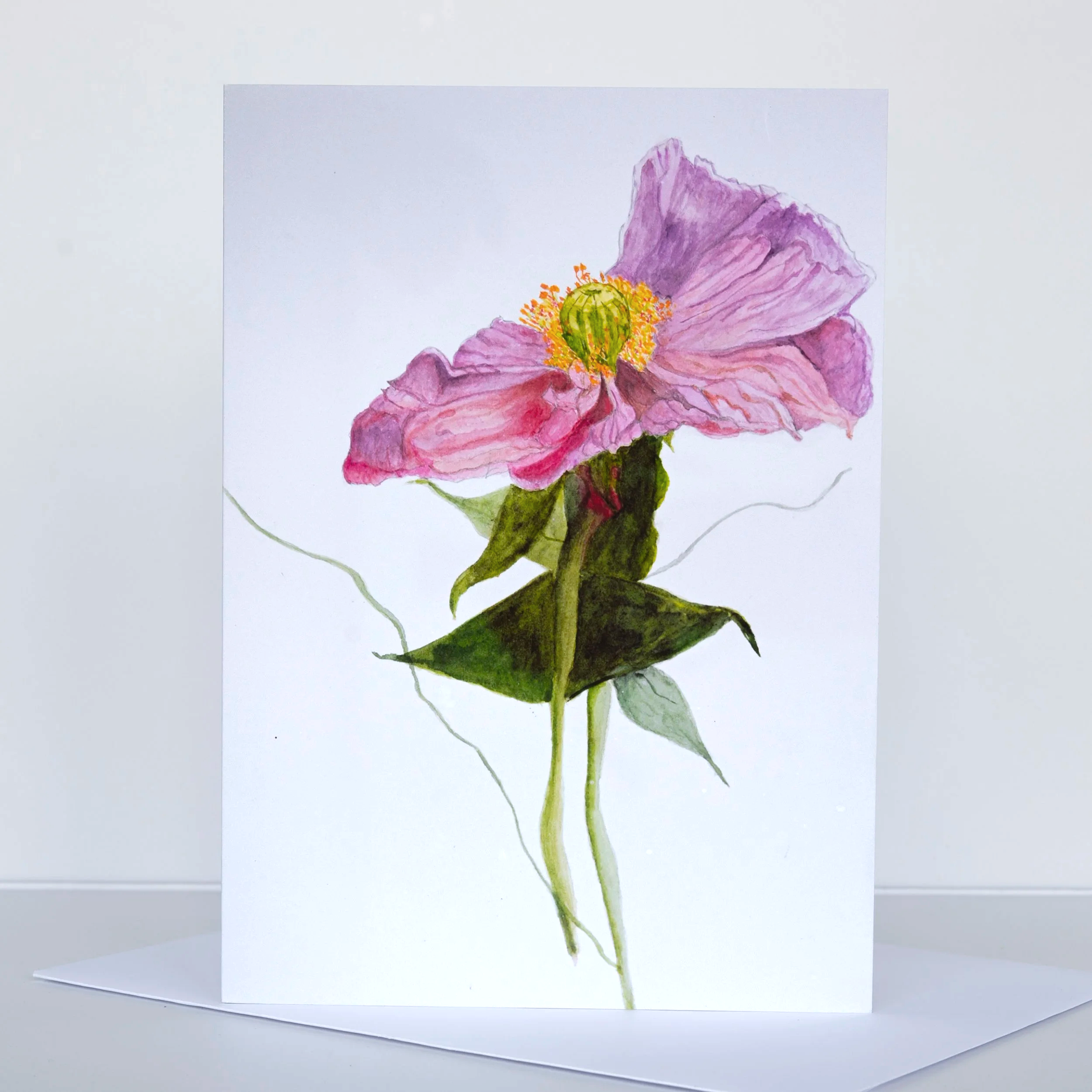 NATURAL+LIGHT+CARD+JPGS+++0037.png