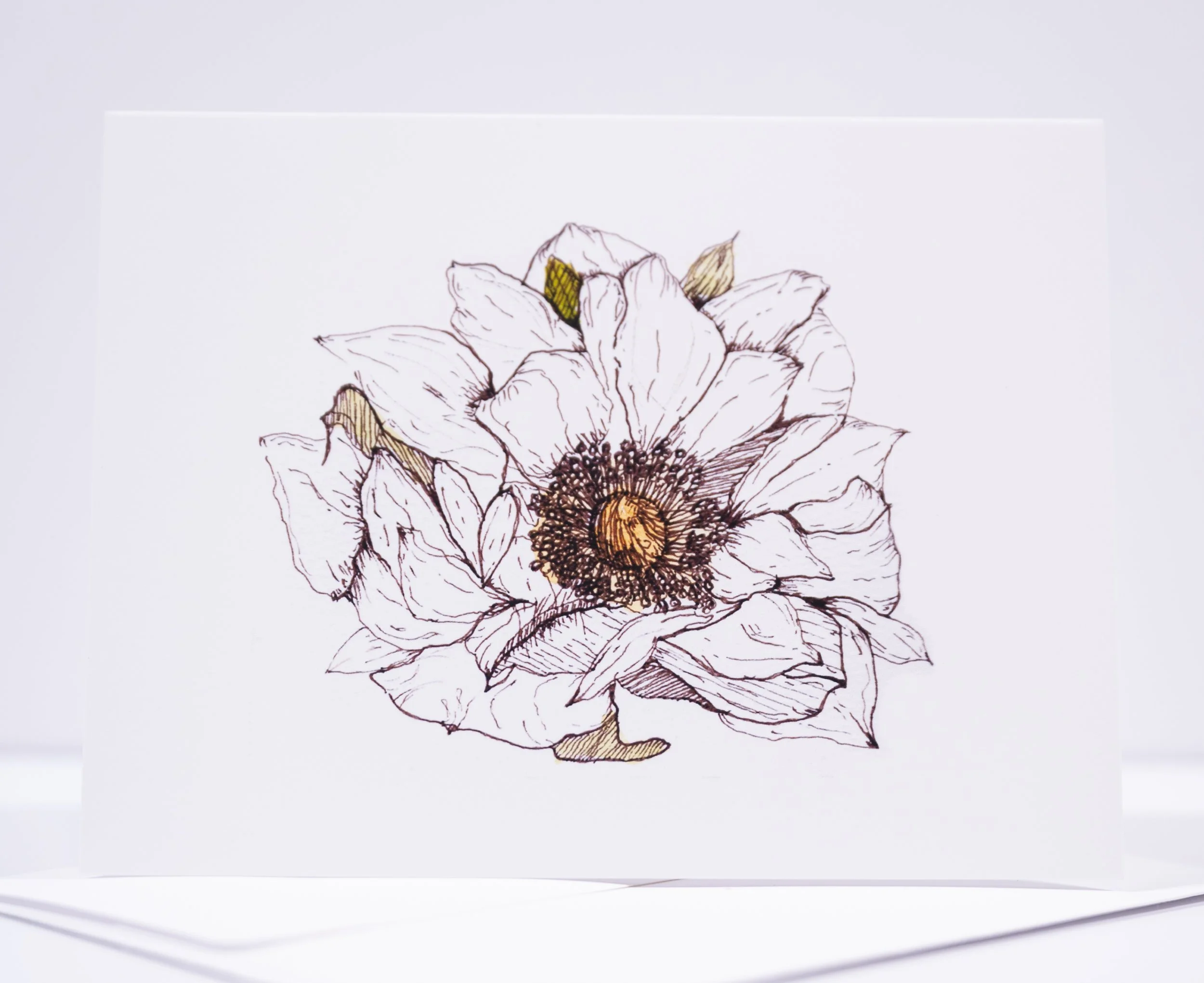 GREETING CARD / Pen & Ink White Flower