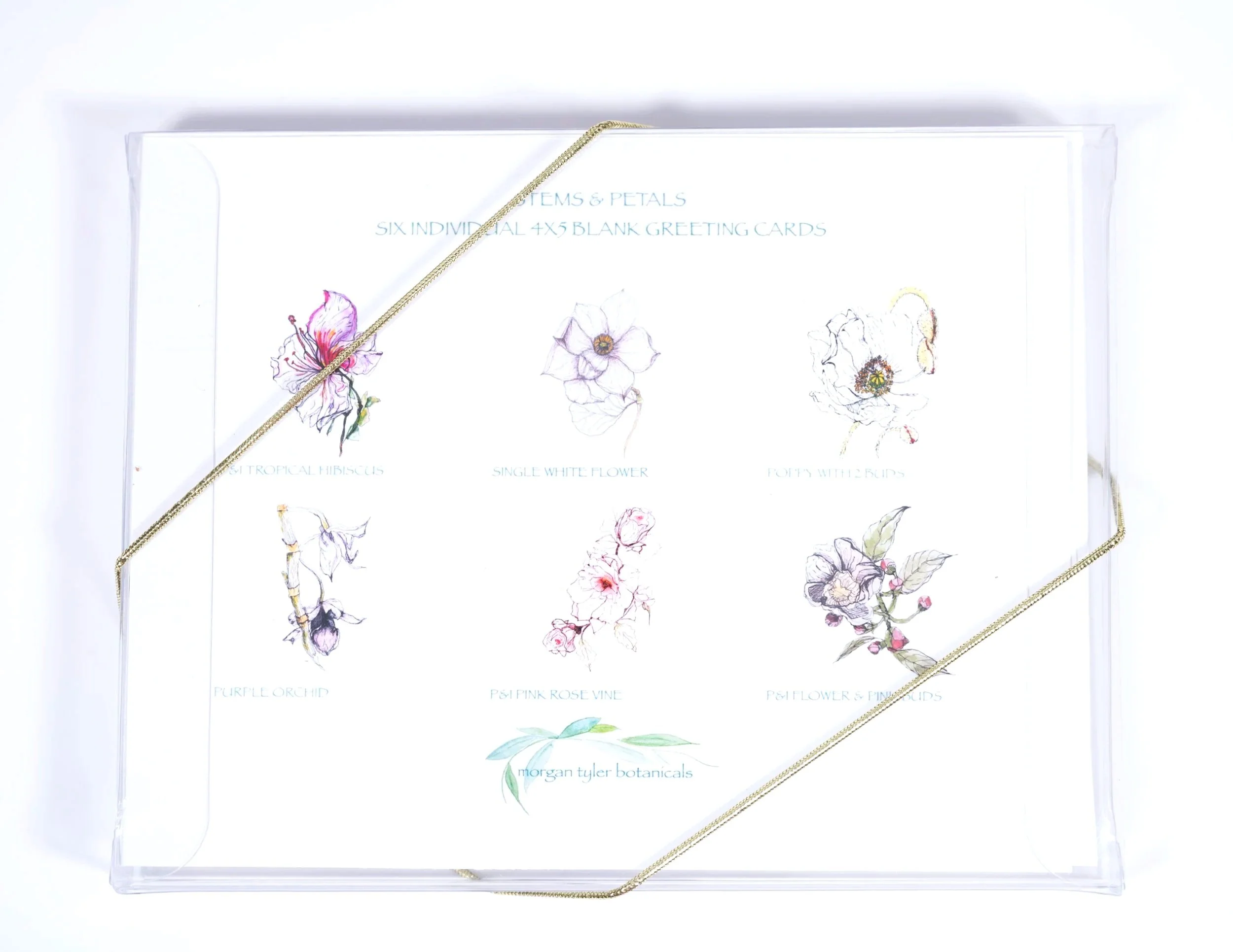 STEMS+%26+PETALS+BOX+BACK+150+DPI.jpg