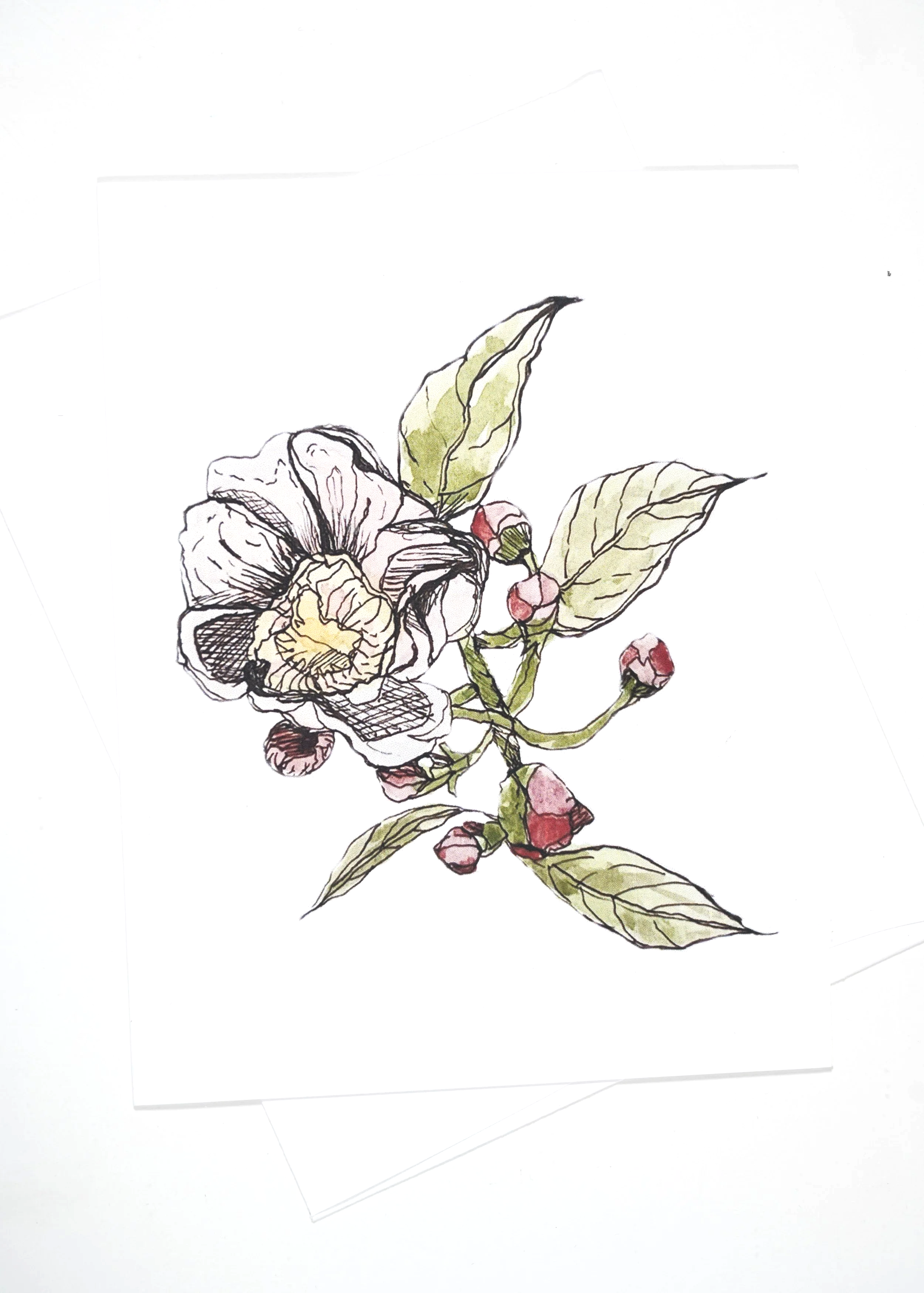 P%26I+BUDS+%26+ROSE+4X5+%26+ENVELOPE.png