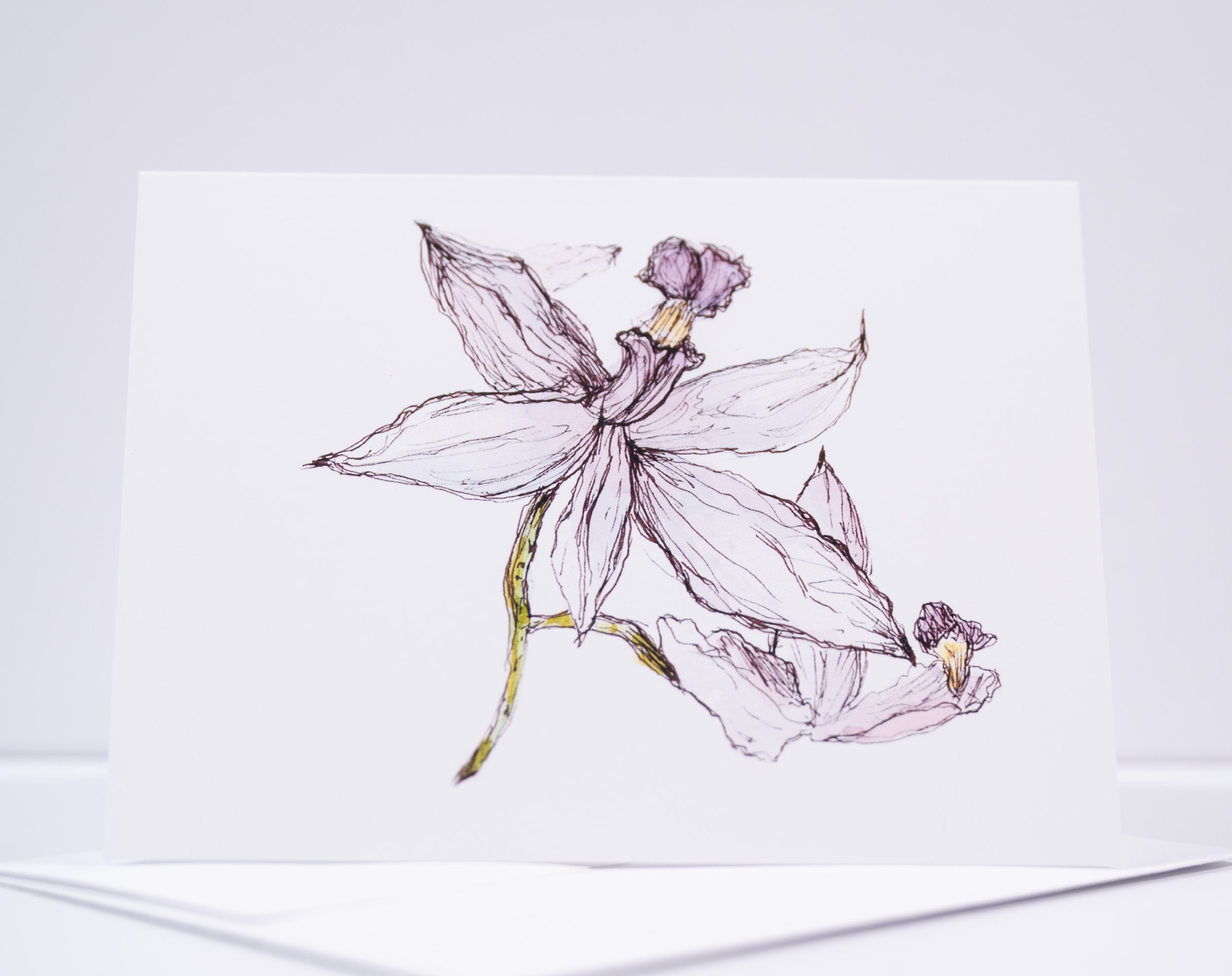 P&I W-ENVELOPES 0121.JPG