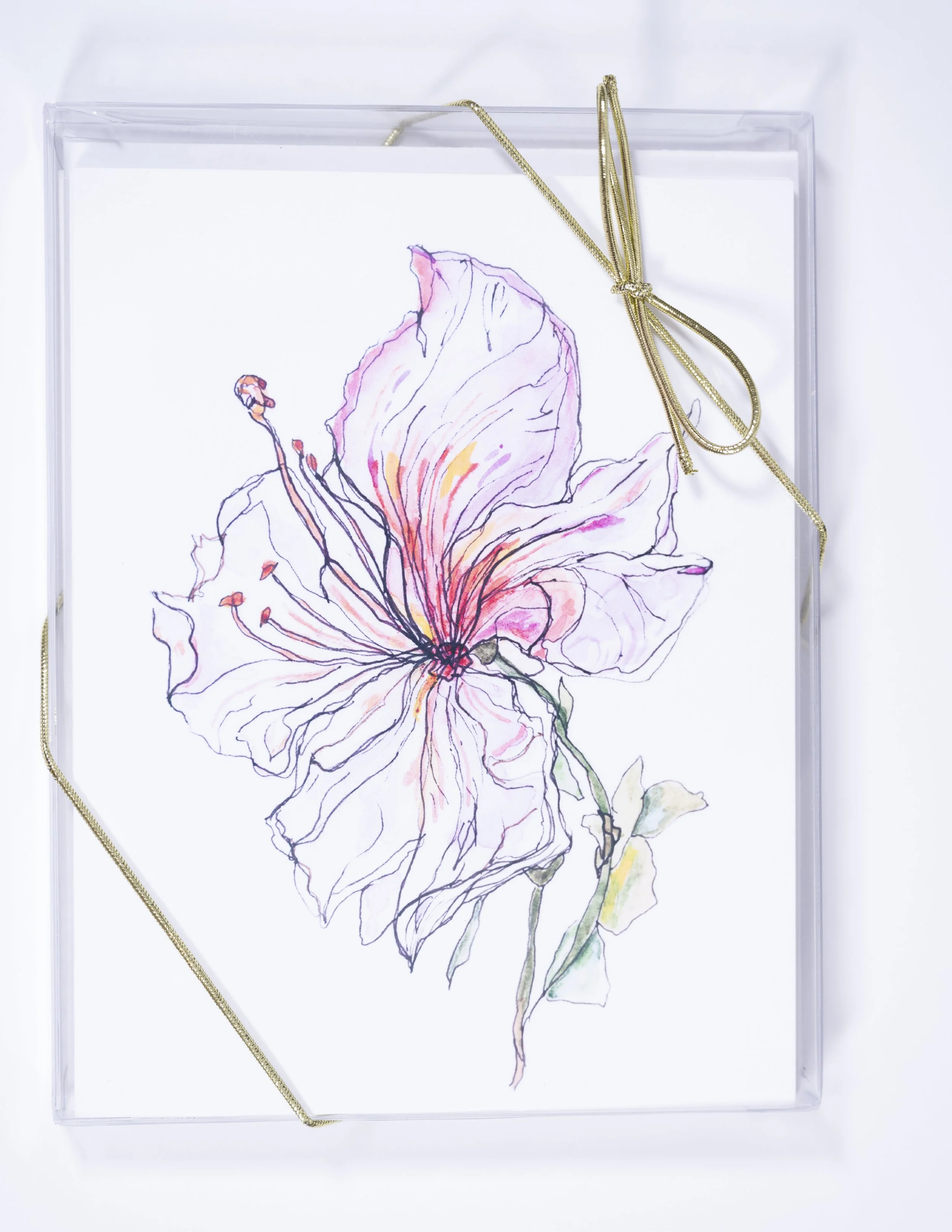 STEMS & PETALS / Elegant Floral Watercolor Card Set