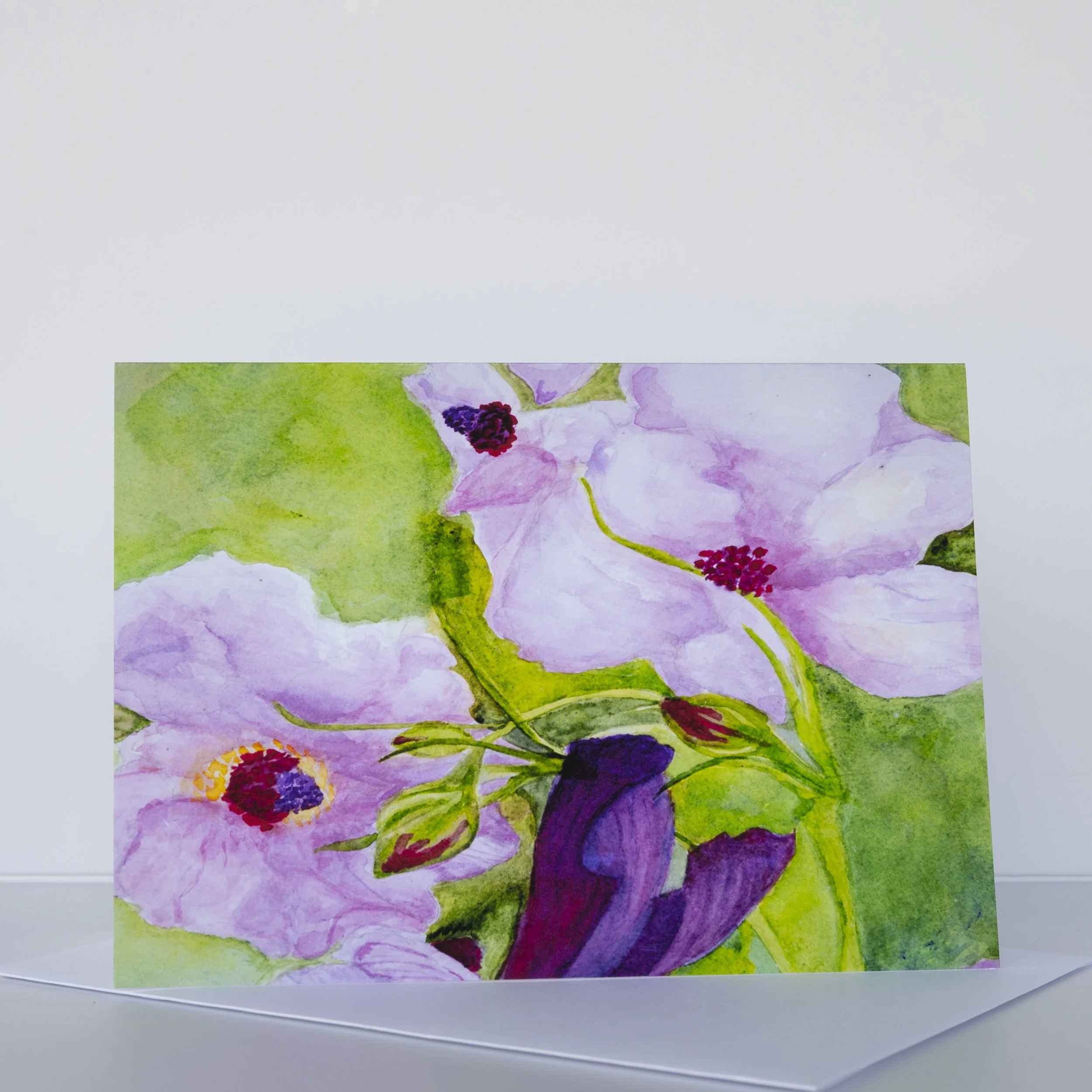 NATURAL LIGHT CARD JPGS   0015.JPG (Copy)