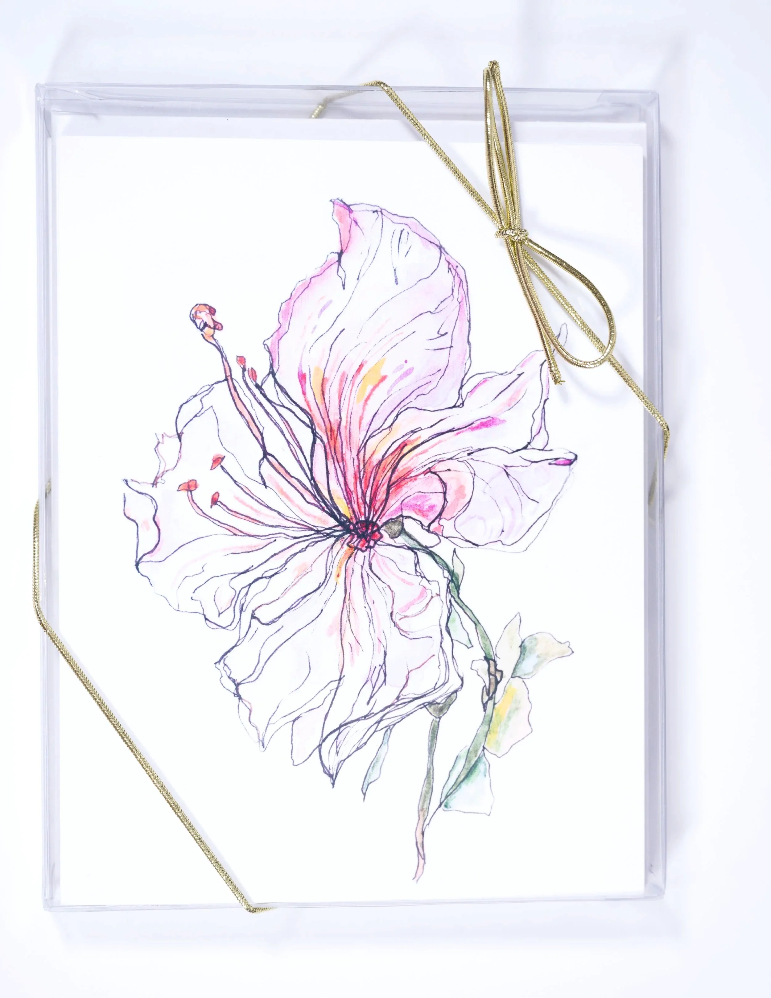 STEMS+%26+PETALS+BOX+150+DPI.jpg