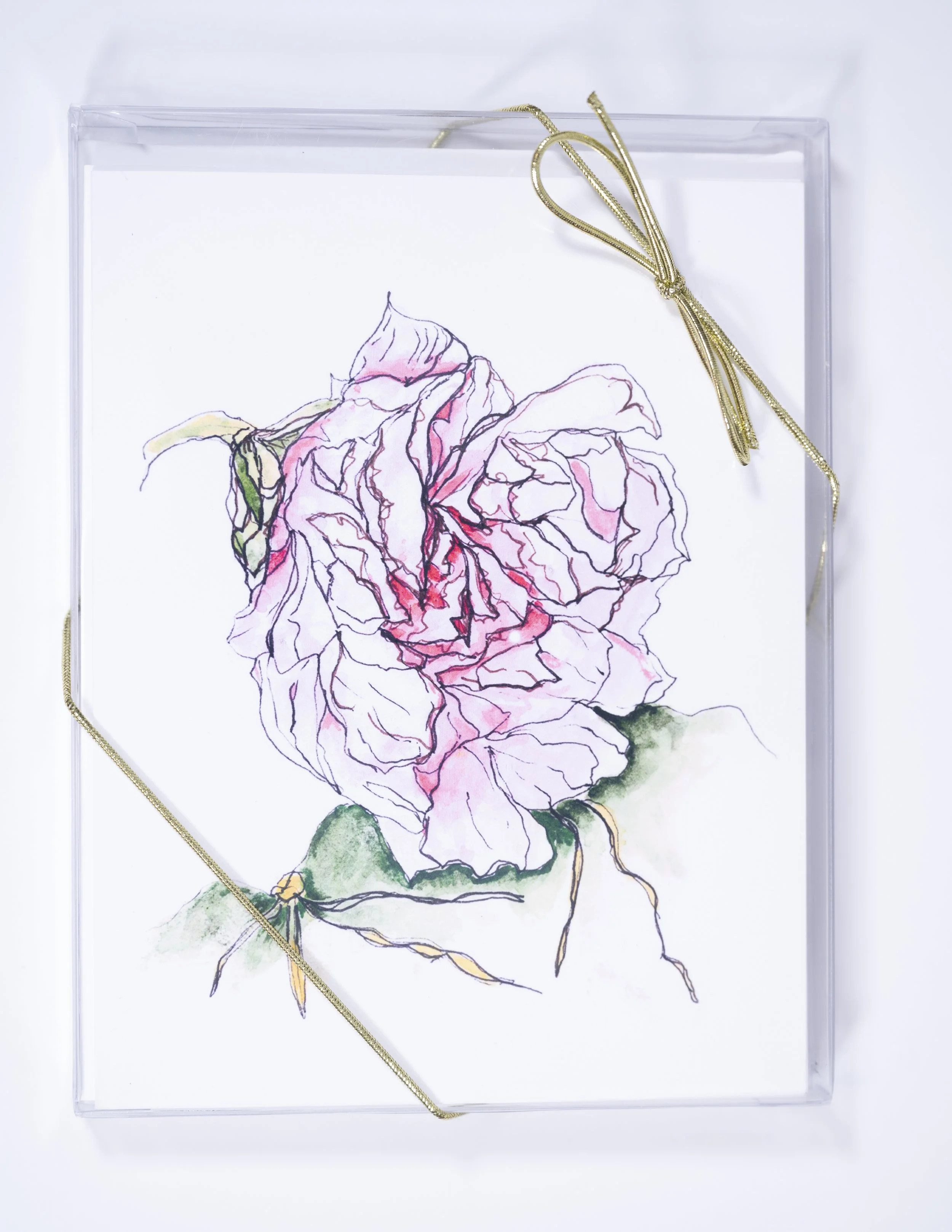 PEN AND INK BLOSSOMS / Pen & Ink with Watercolor Greeting Card Set