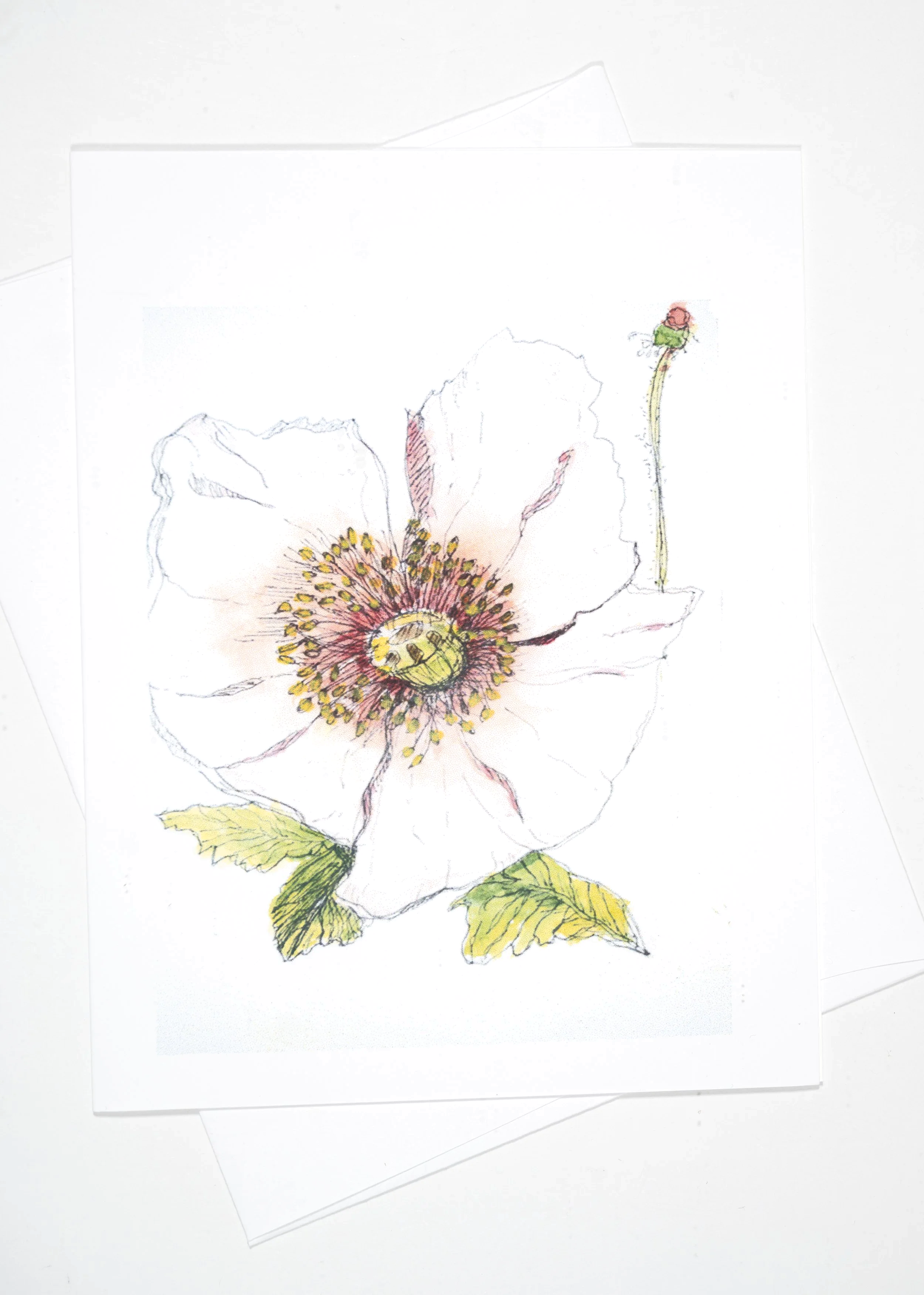 P%26I+PINK+POPPY+4X5+%26+ENVELOPE.png