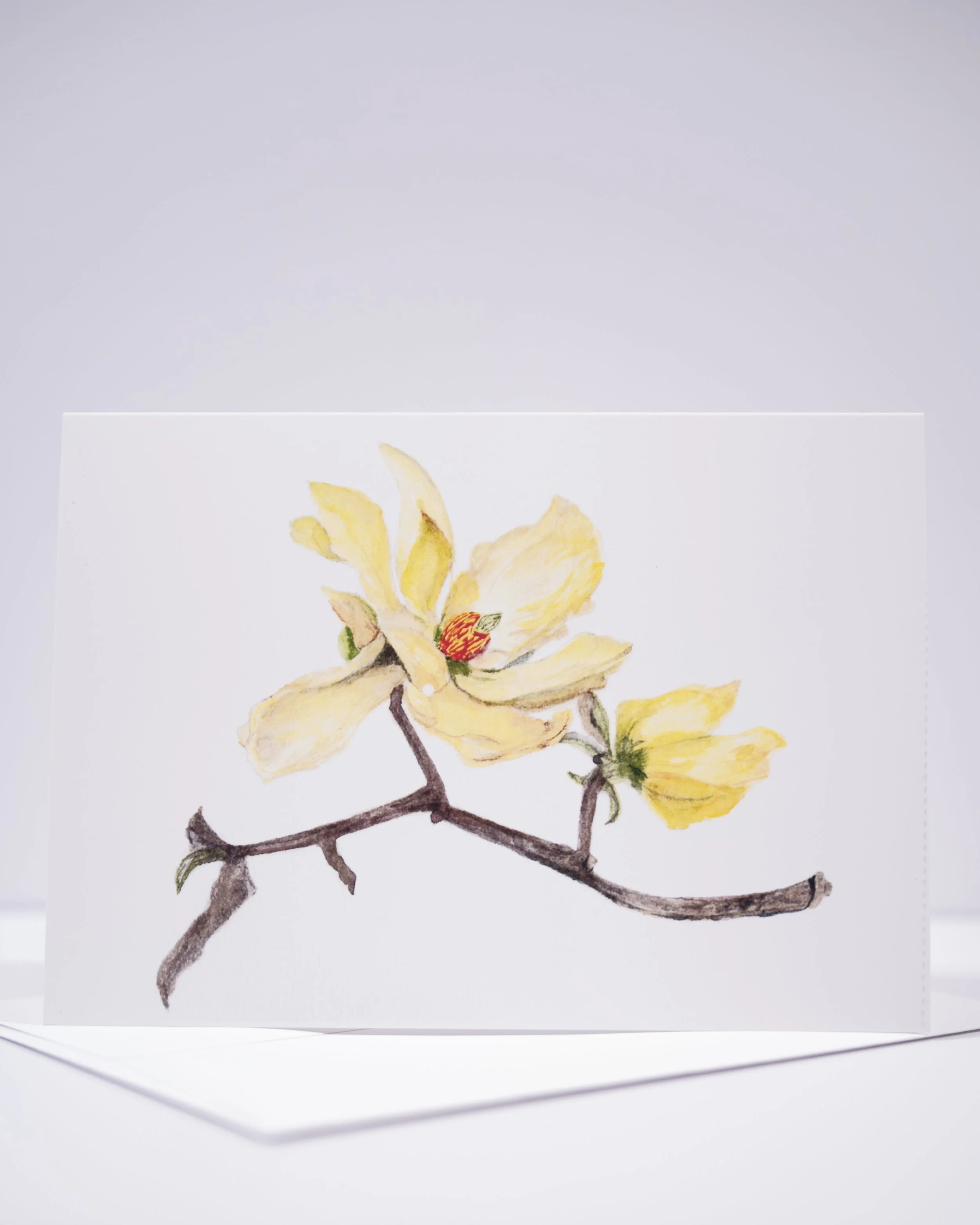 NEW COPY STAND IMAGES   0249 .JPG