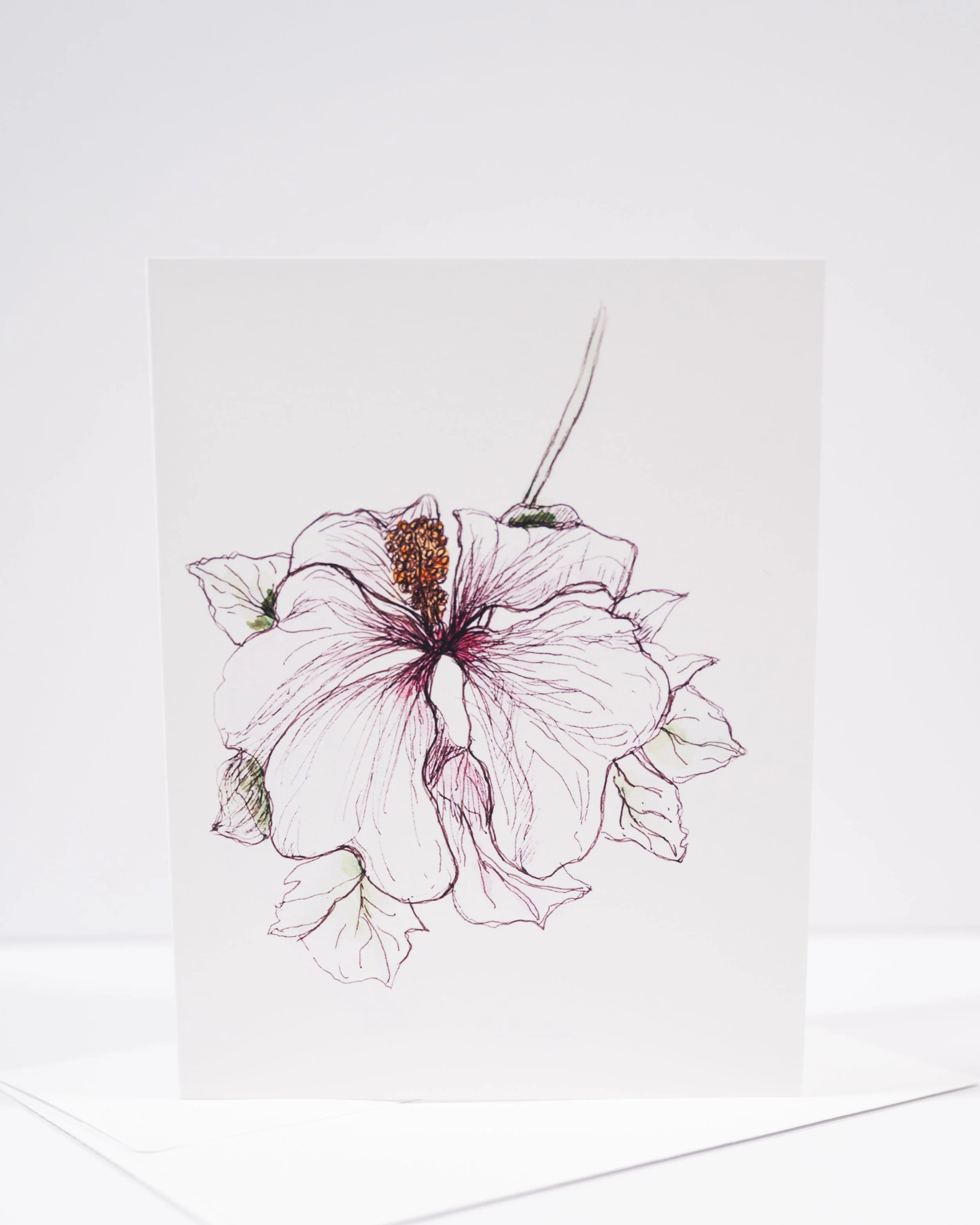 NEW COPY STAND IMAGES   0176 .JPG