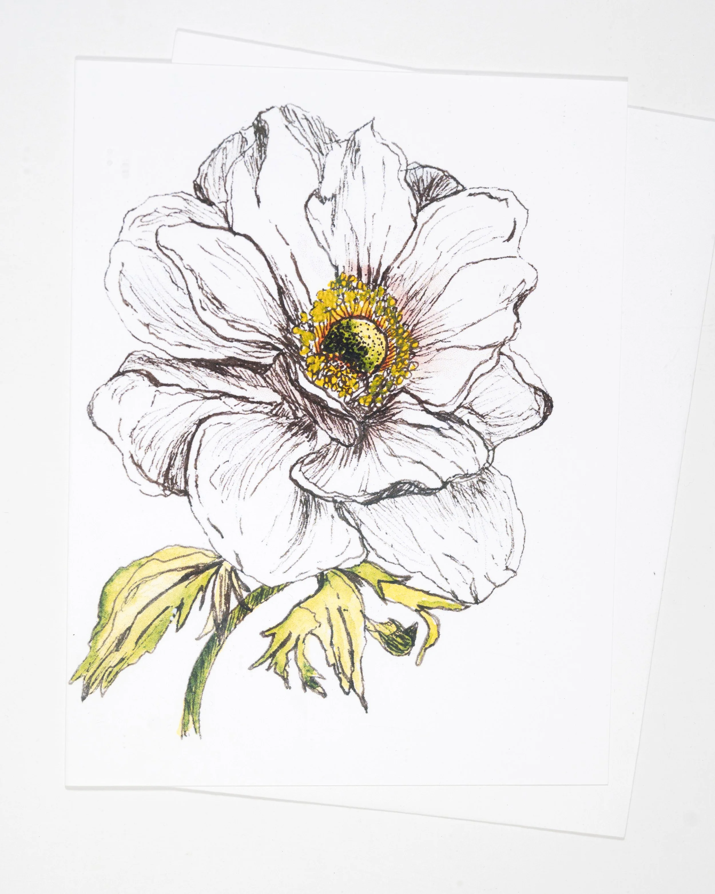 72 dpi 4x5 GREETING -0045 copy.jpg