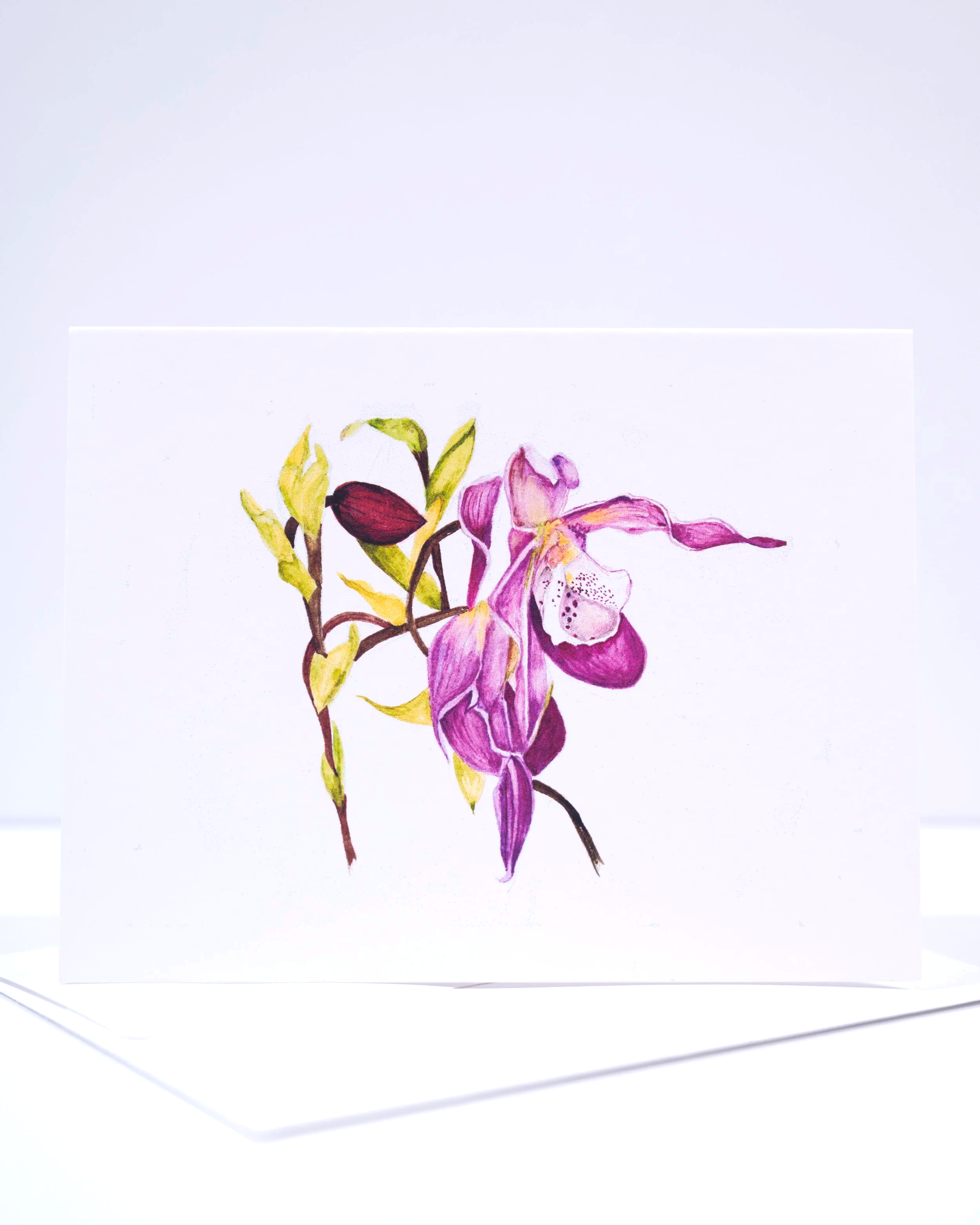 CORRECTION+++0002+.png