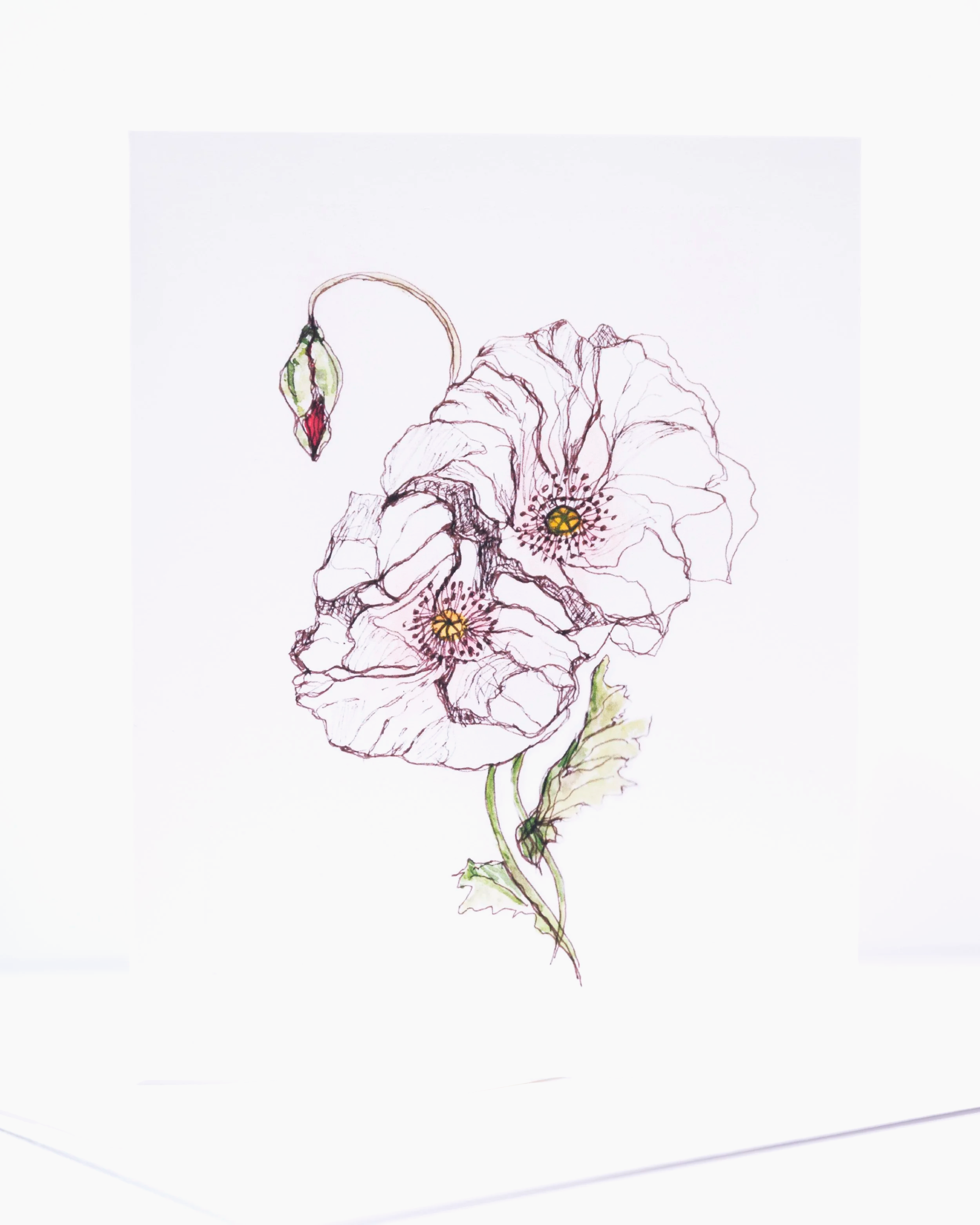 NEW+COPY+STAND+IMAGES+++0088+.png