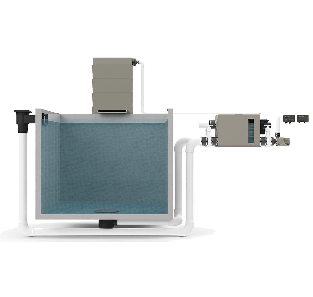 Kenko Quantum RDF 8000 w shower.png