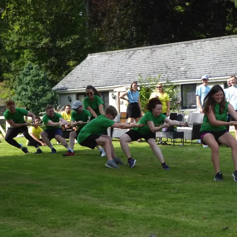 tug_of_war.jpg.webp