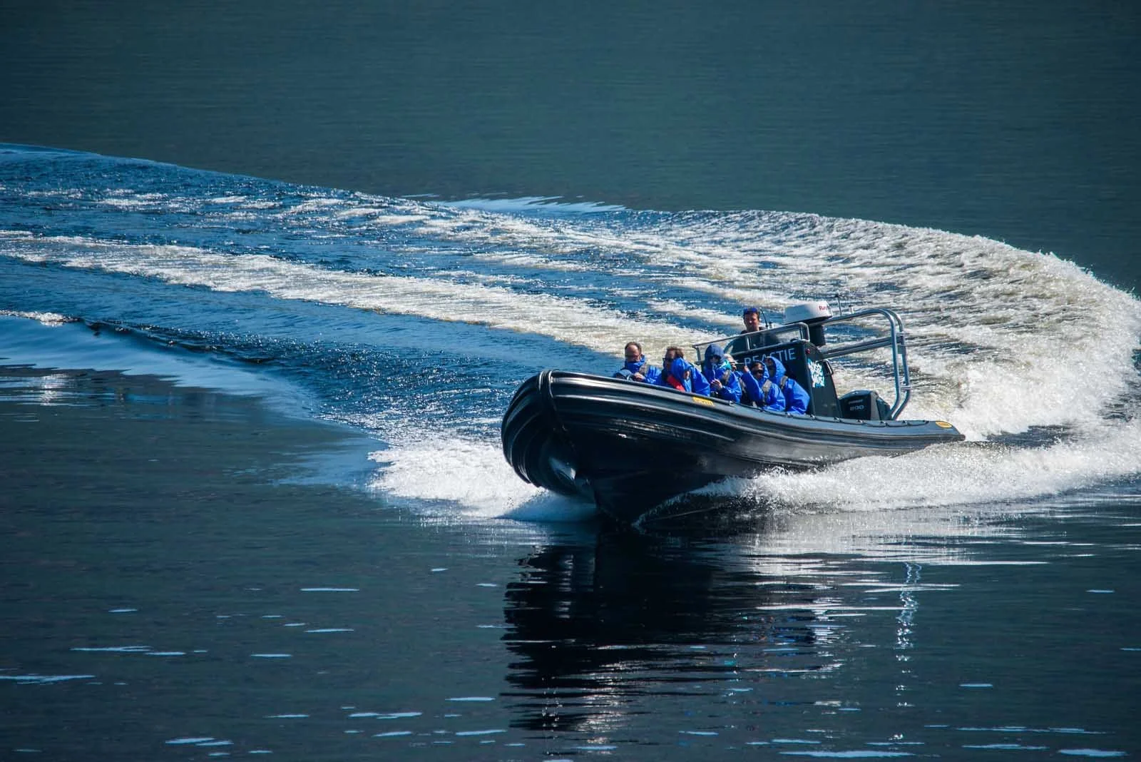 Beastie Boats 2.jpg