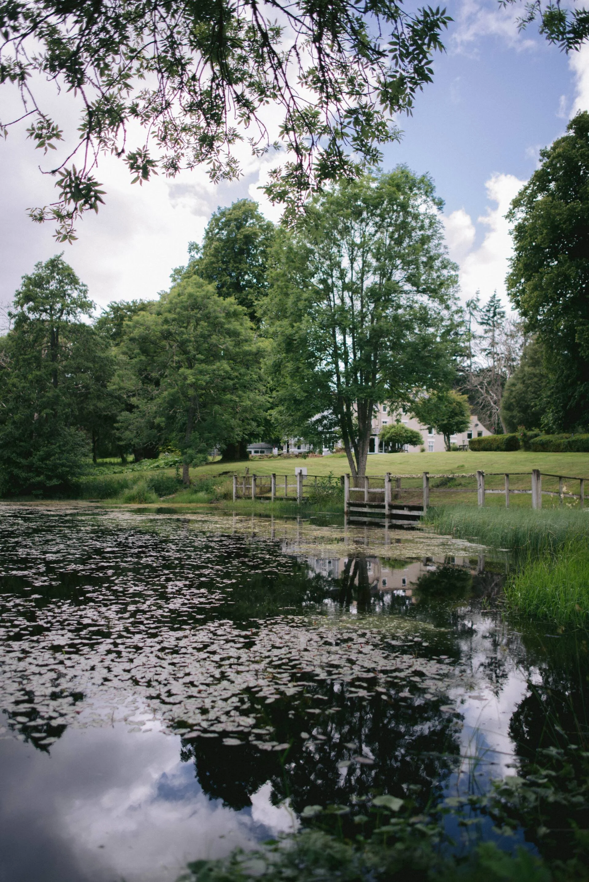 Pond.jpeg