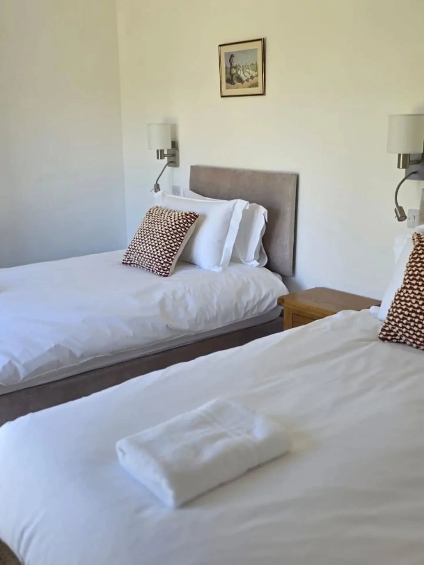 Single beds.jpeg