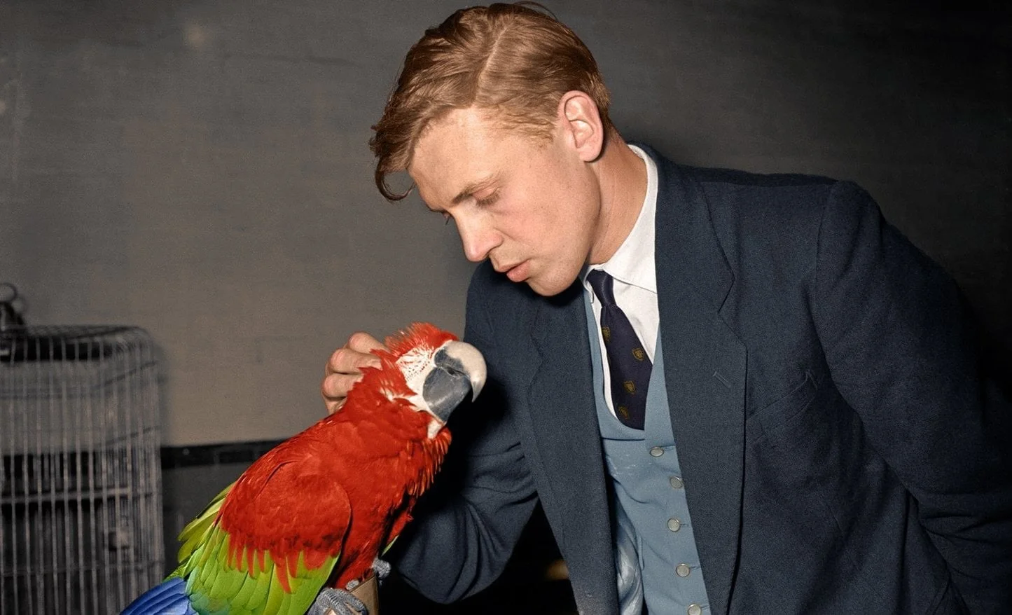 Happy 💯 birthday to David Attenborough. This is one on my favorite photos of him.