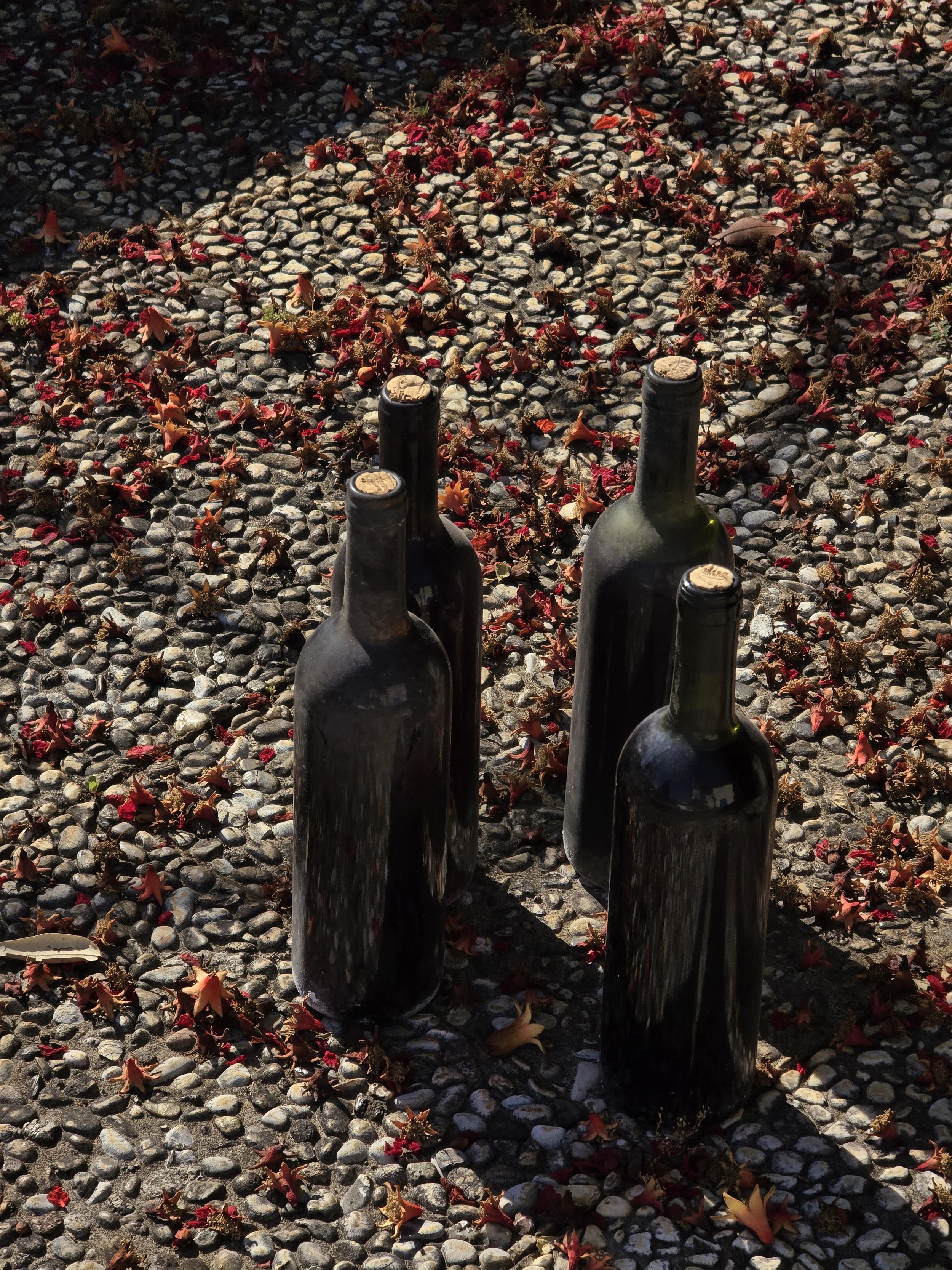 Cinque bottiglie di vino nero posizionate su un pavimento di ciottoli, circondate da petali rossi e arancioni.