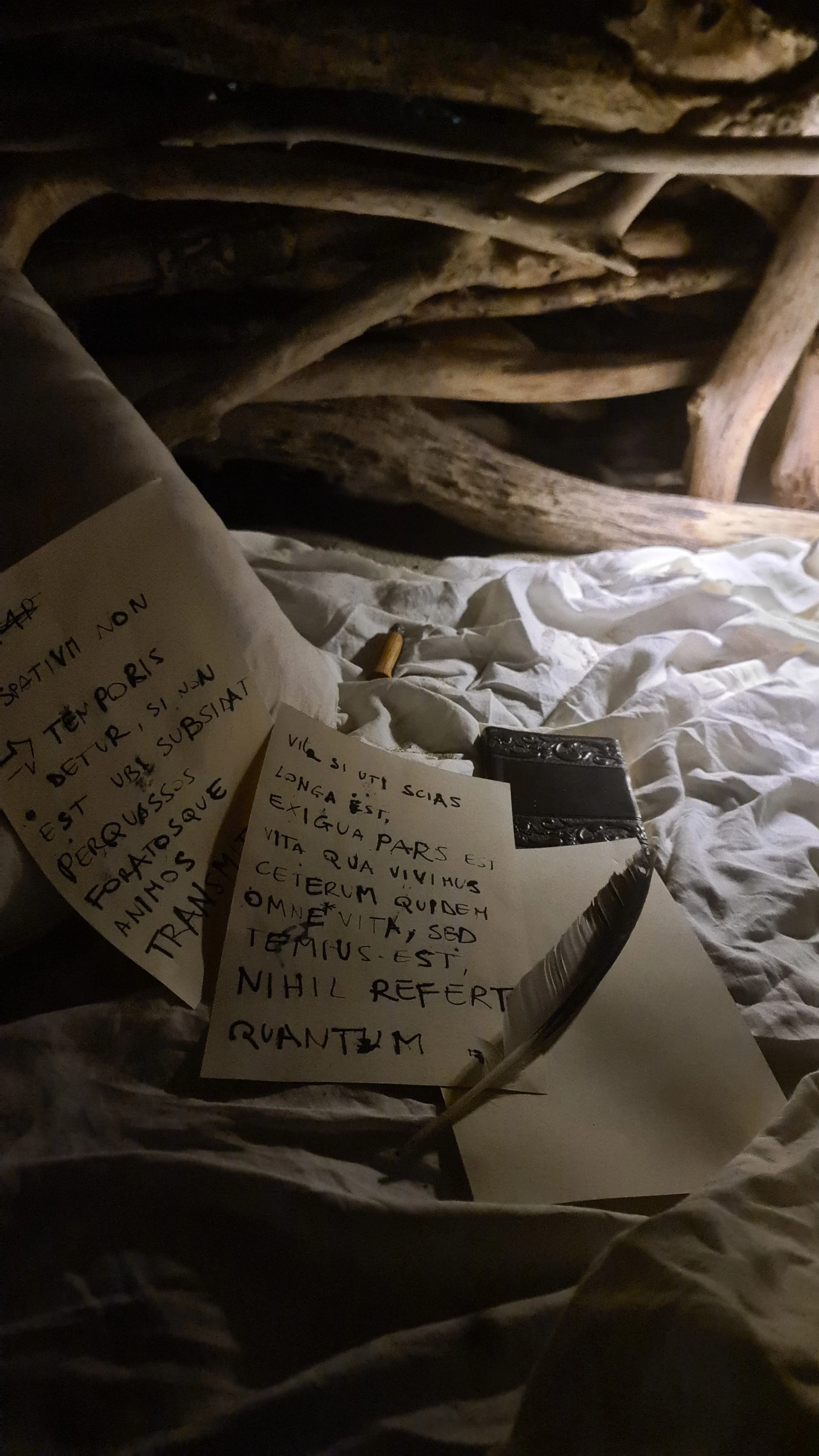 Note scritte in latino appoggiate su un lenzuolo bianco con un petali di fiore e una quill a fianco, su uno sfondo di rami di legno.
