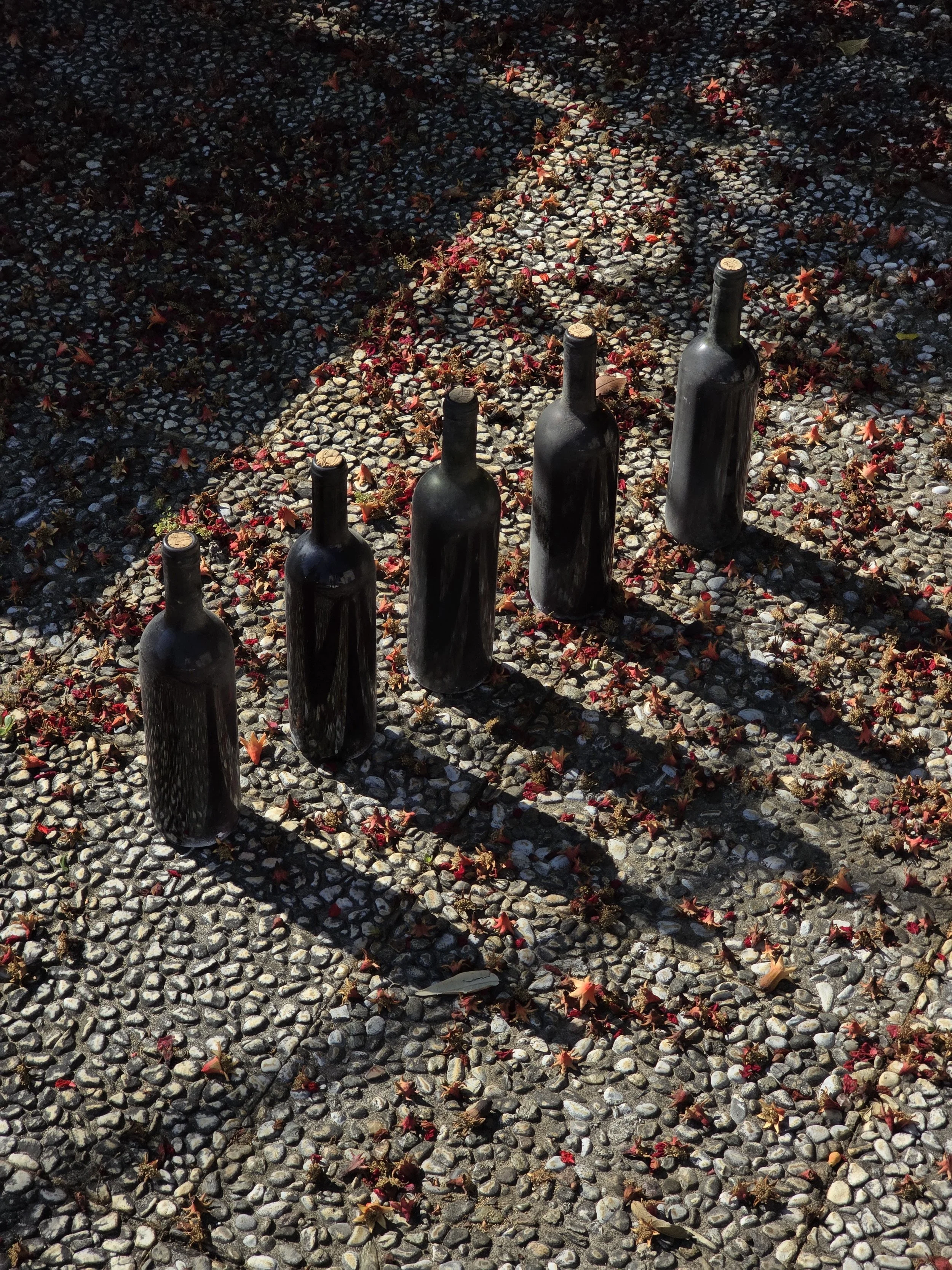 Cinque bottiglie di vetro nere disposte in fila su una strada di ciottoli, con ombre lunghe e foglie cadute intorno.