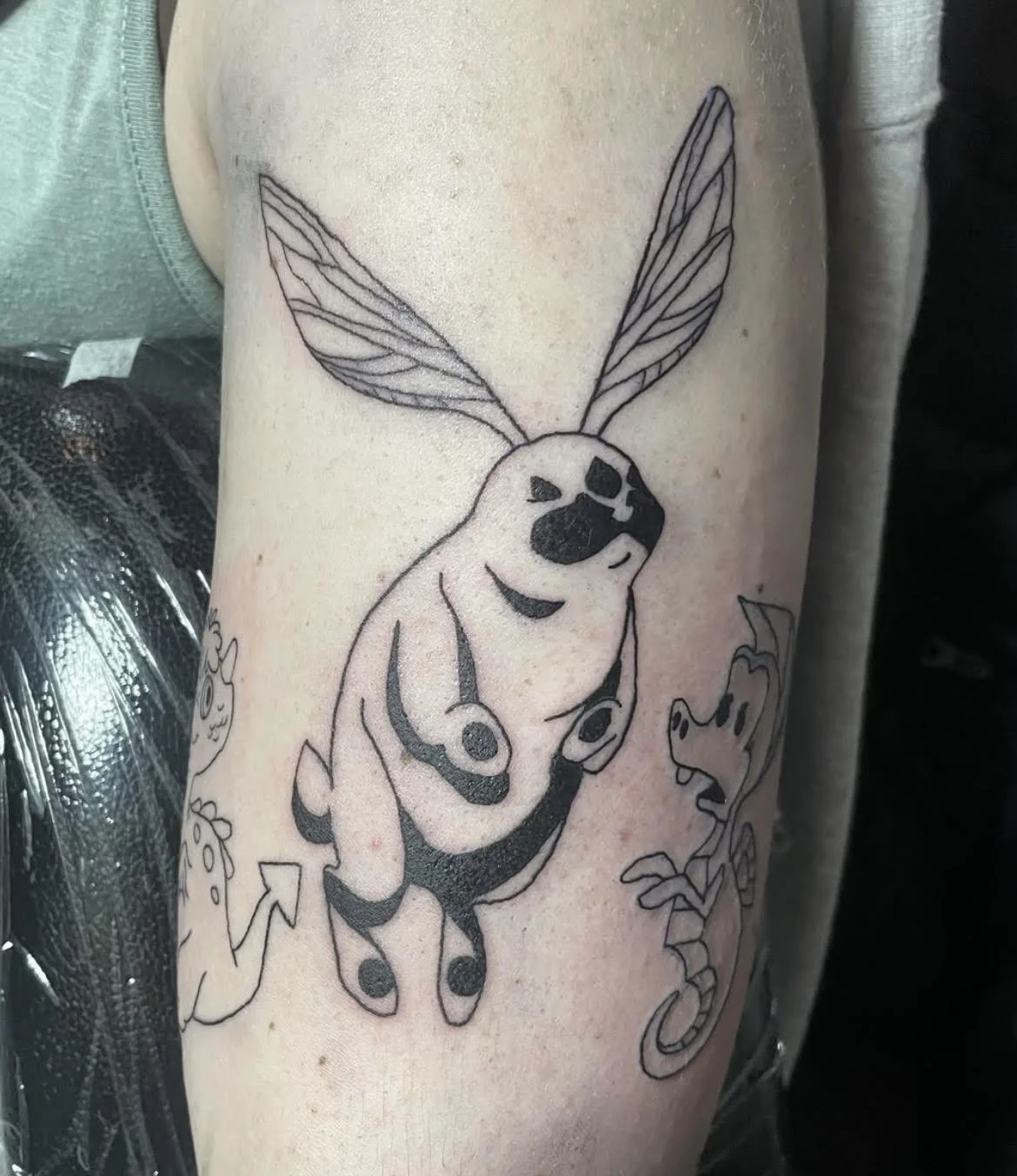 Pink Bunny (The Legend of Korra)