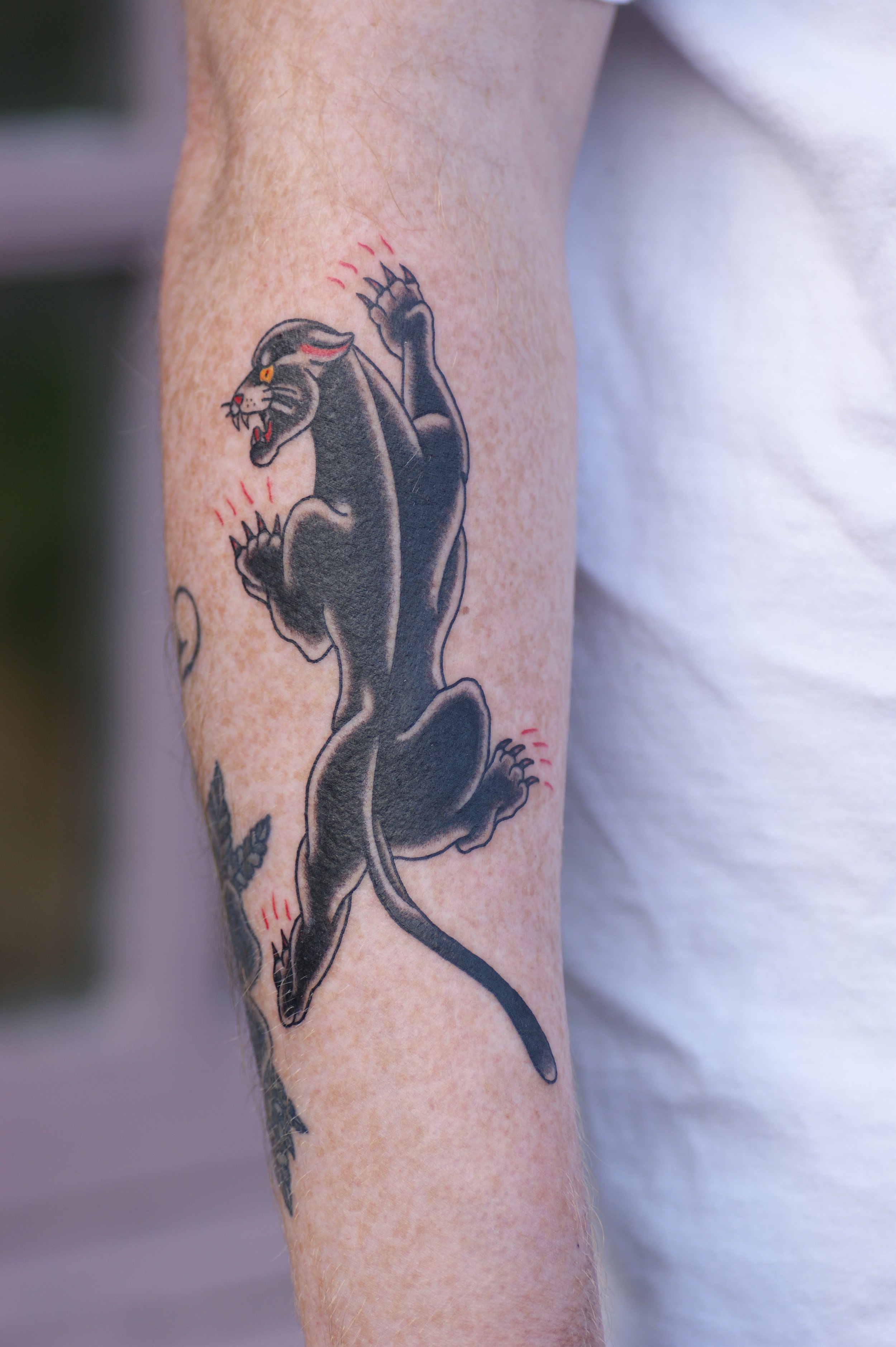 Panther