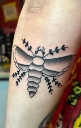 Moth