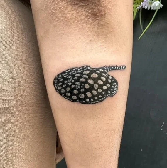 Brazilian Xingu River Ray